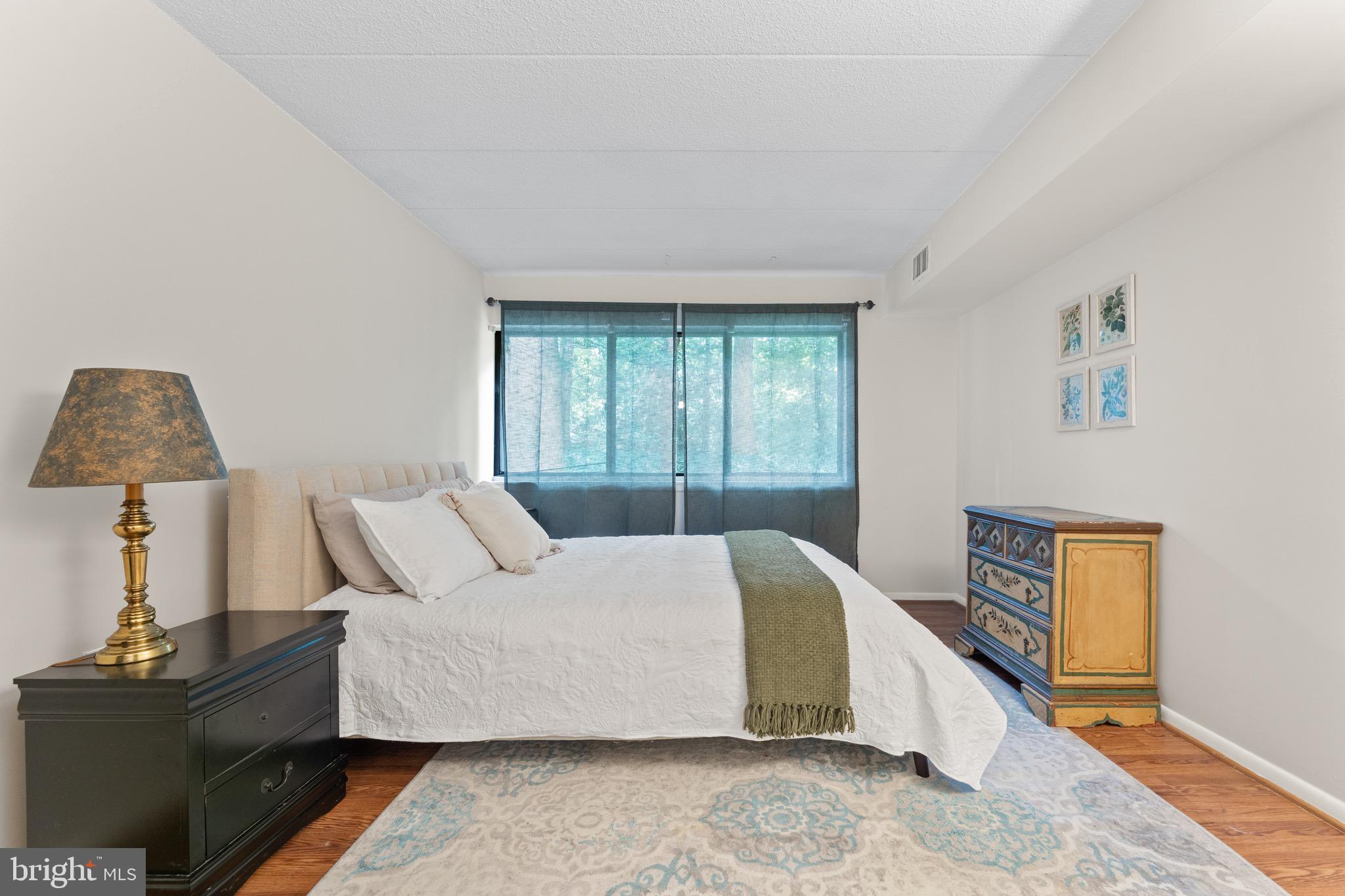 11617 Windbluff Court, Unit 9B Reston, VA 20191 - Photo 29 of 46 Primary bedroom
