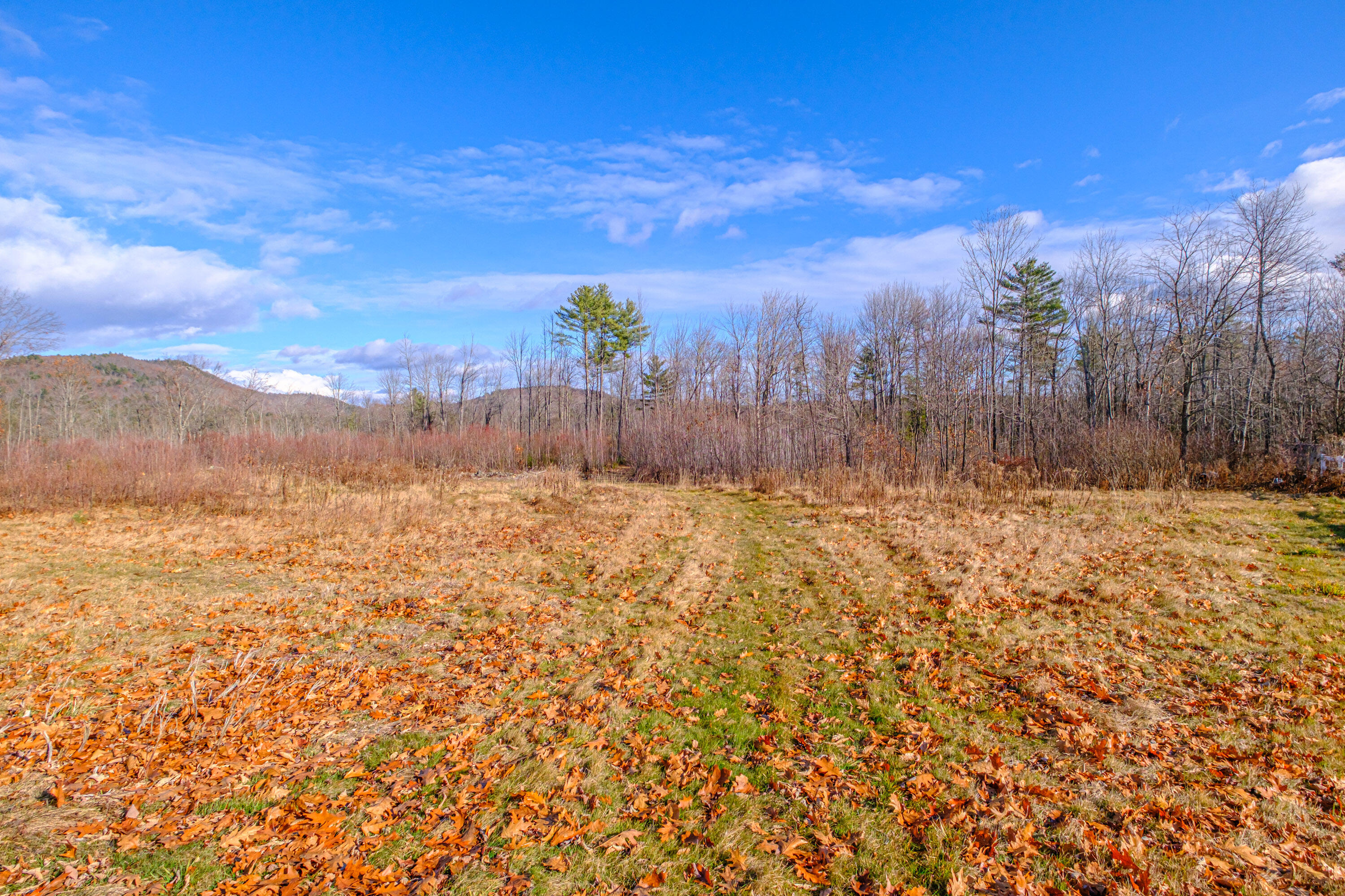 273 Dunn Road Norway, ME 04268 - Photo 111 of 144 20251128gp-60114