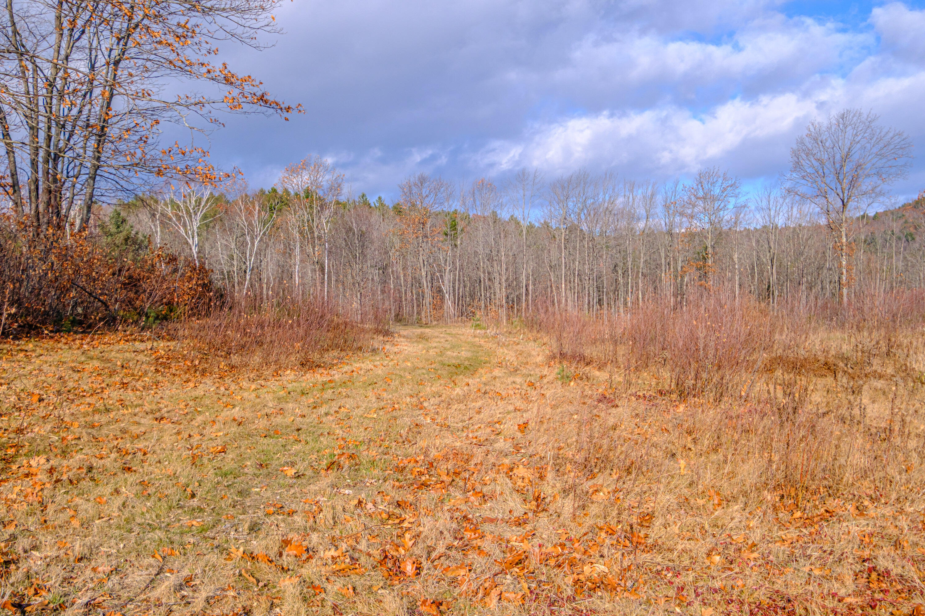 273 Dunn Road Norway, ME 04268 - Photo 112 of 144 20251128gp-60115