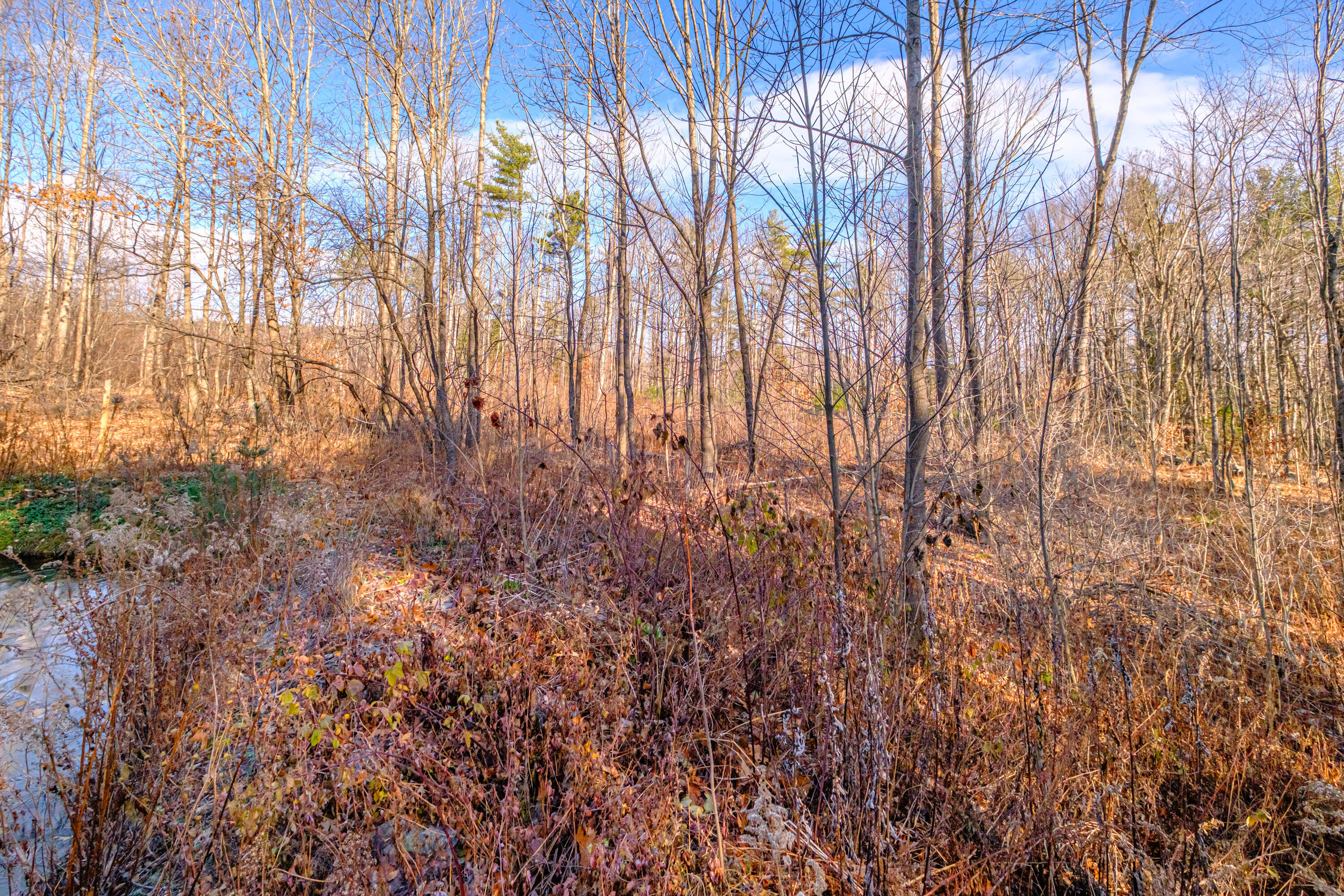 273 Dunn Road Norway, ME 04268 - Photo 91 of 144 20251128gp-60094