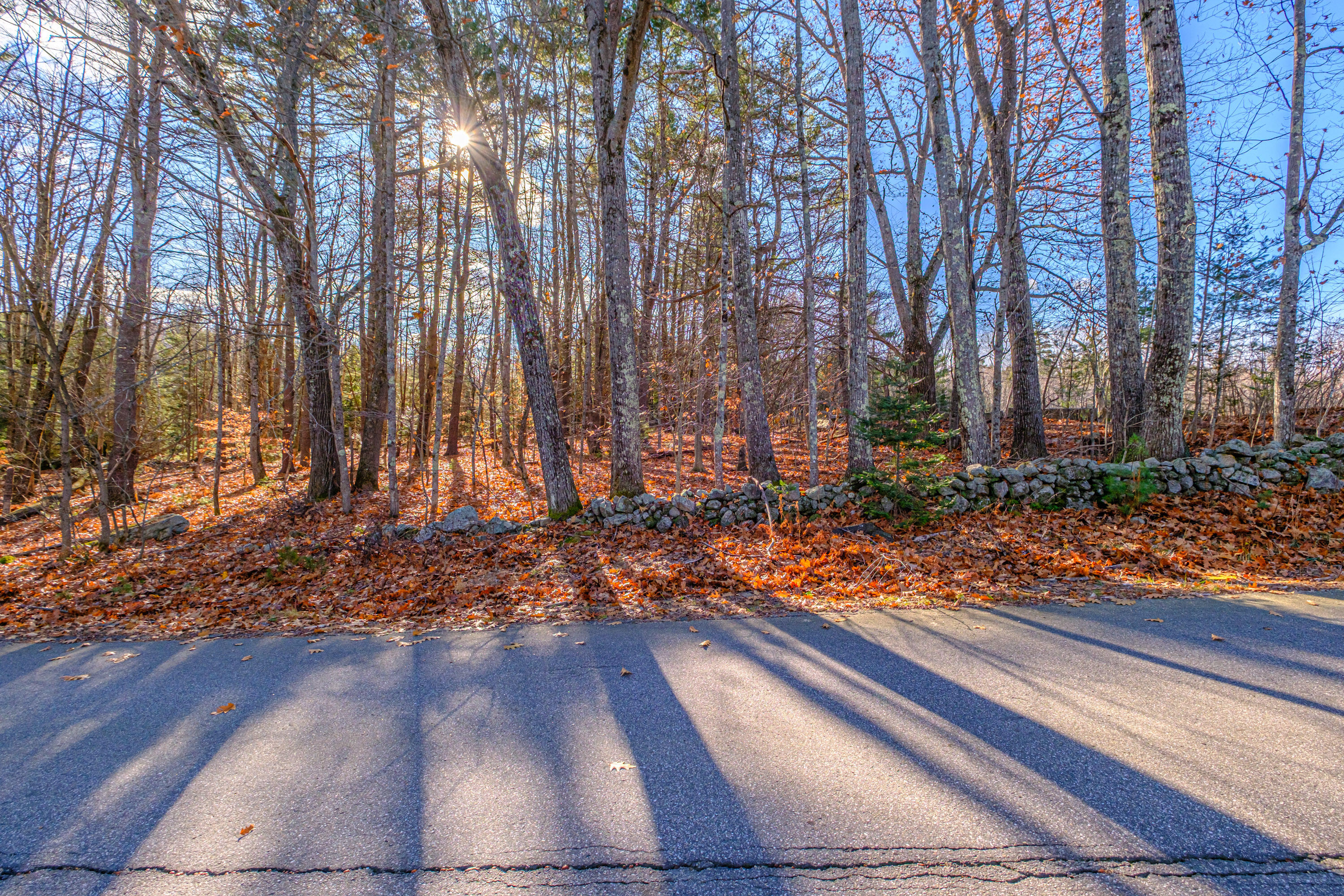 273 Dunn Road Norway, ME 04268 - Photo 92 of 144 20251128gp-60095