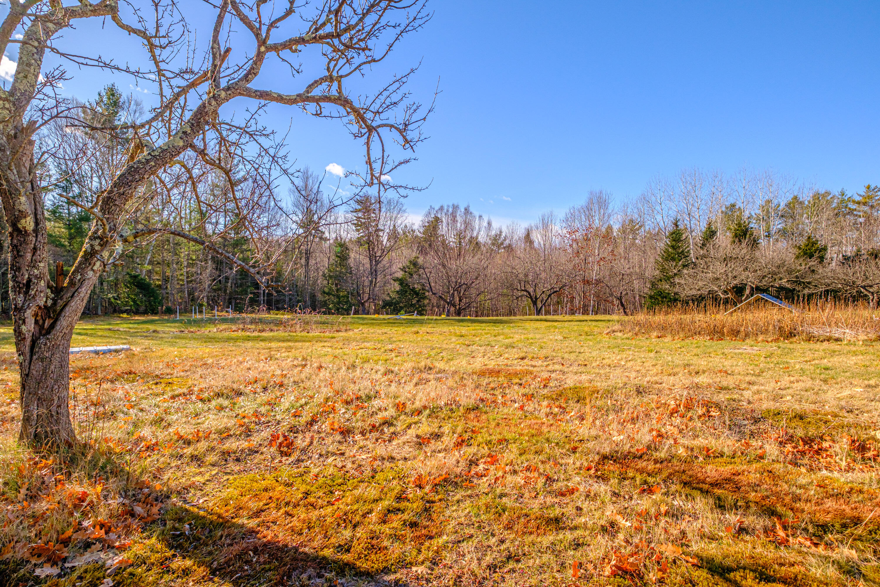 273 Dunn Road Norway, ME 04268 - Photo 96 of 144 20251128gp-60099