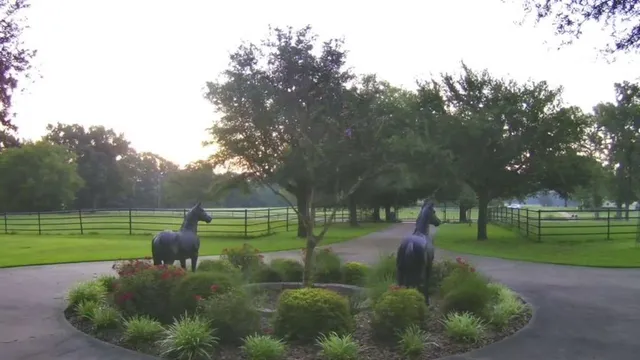 a view of a park with large trees