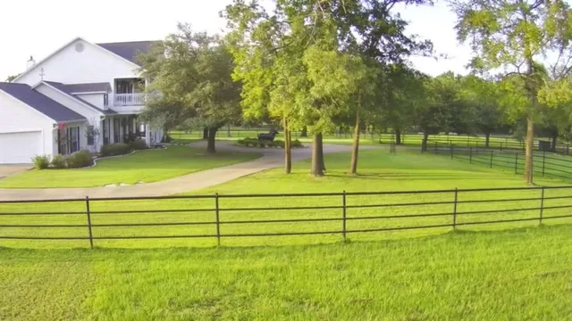 a view of a park with large trees