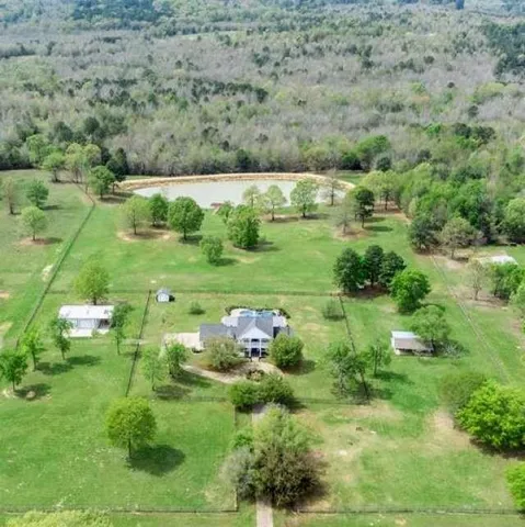 a view of a lush green field