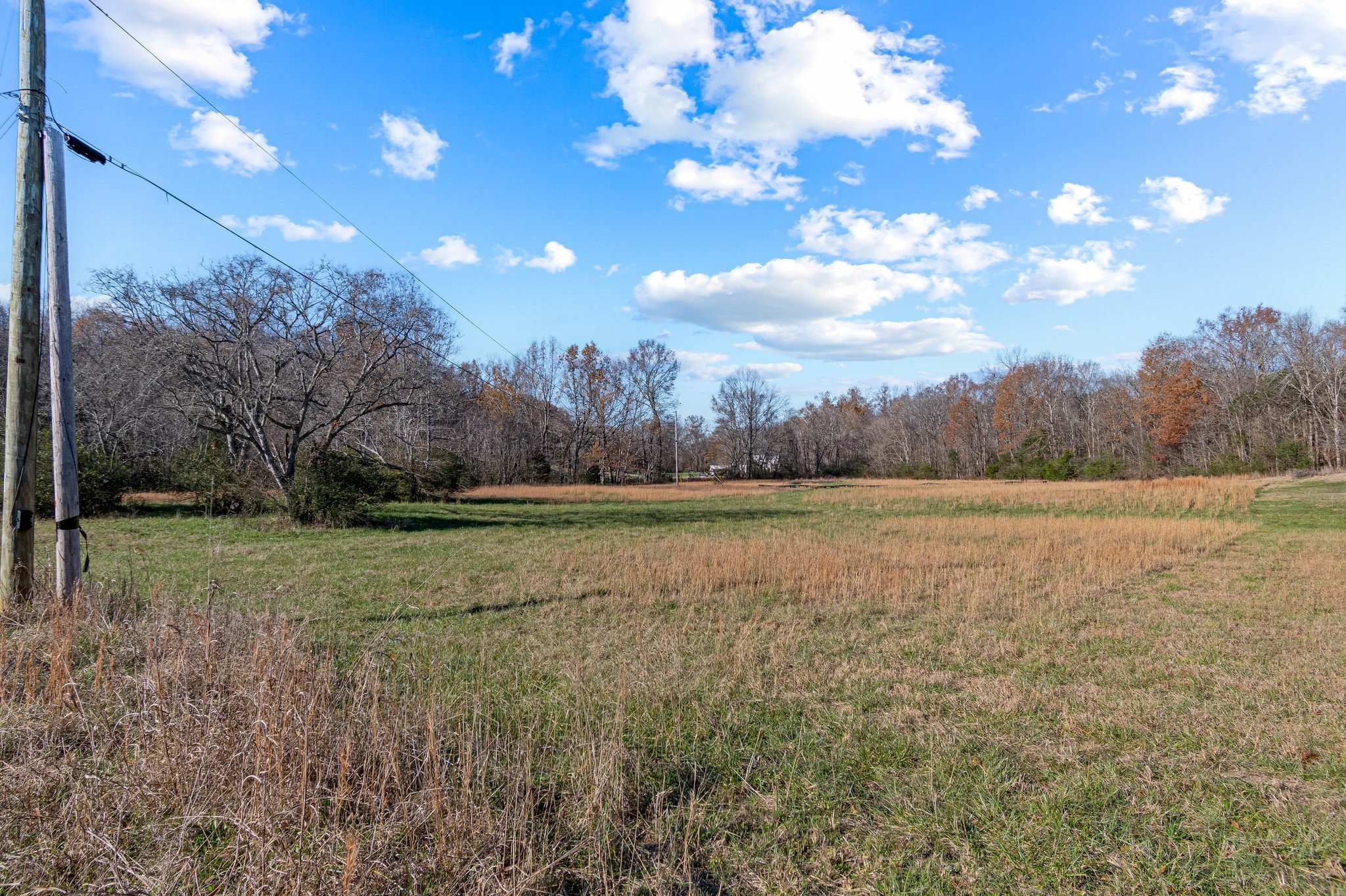 0 Smithson Road College Grove, TN 37046 - Photo 15 of 25