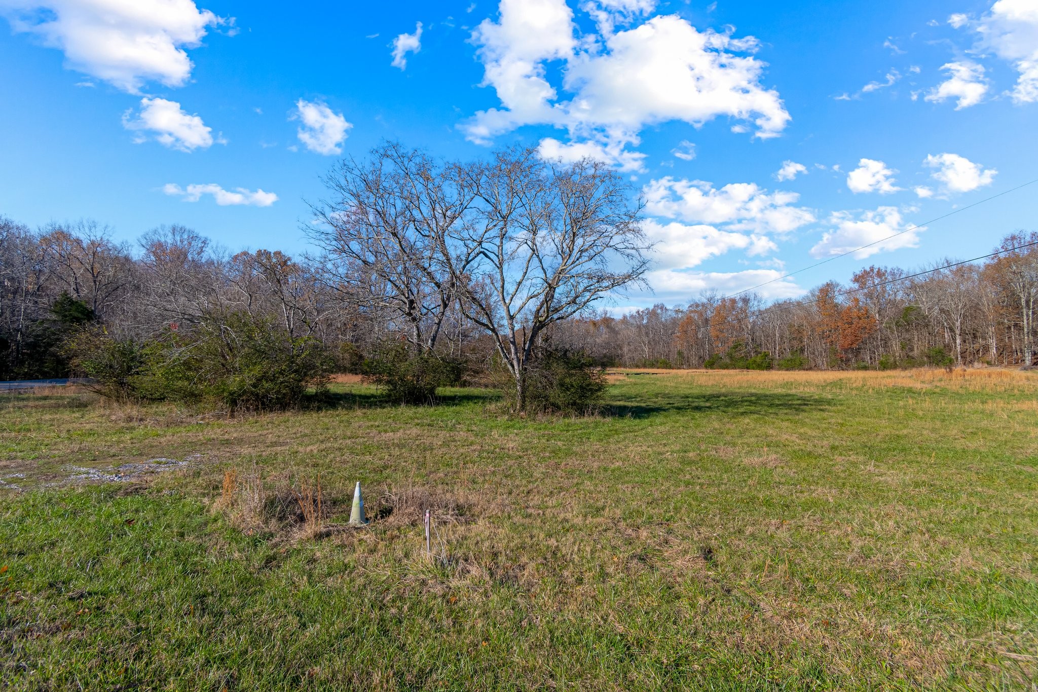 0 Smithson Road College Grove, TN 37046 - Photo 16 of 25