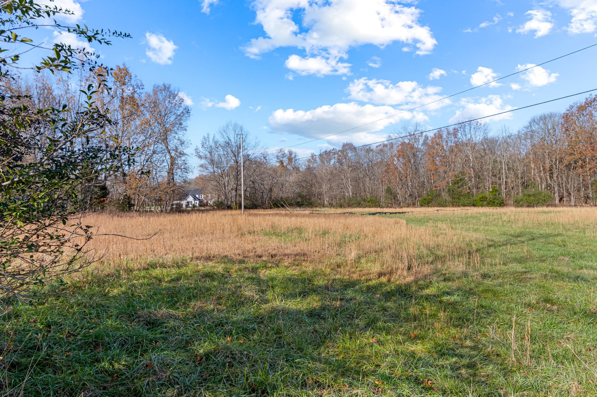 0 Smithson Road College Grove, TN 37046 - Photo 17 of 25