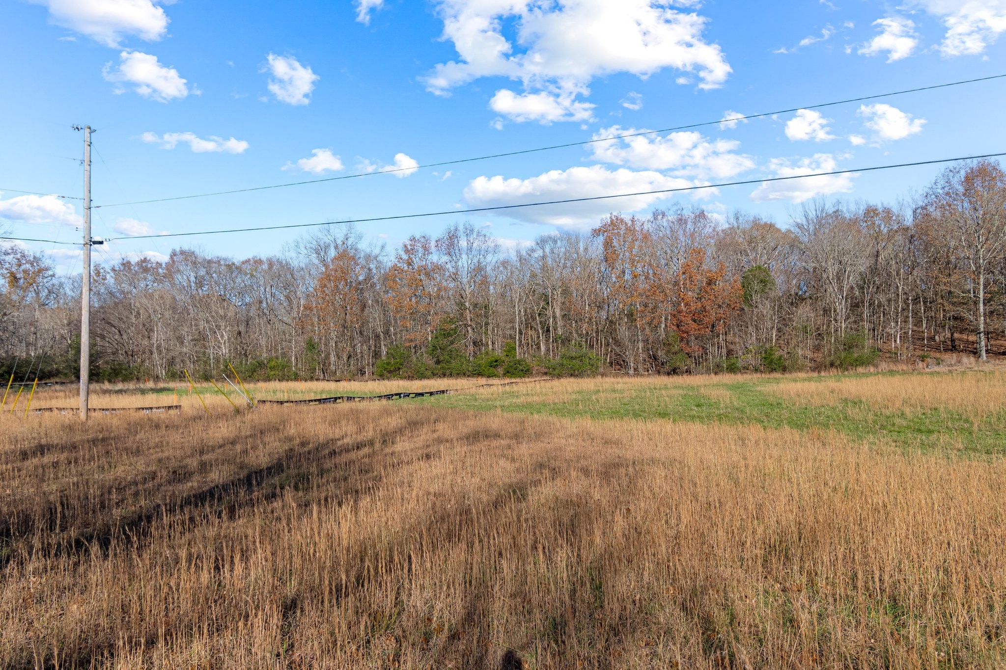 0 Smithson Road College Grove, TN 37046 - Photo 18 of 25