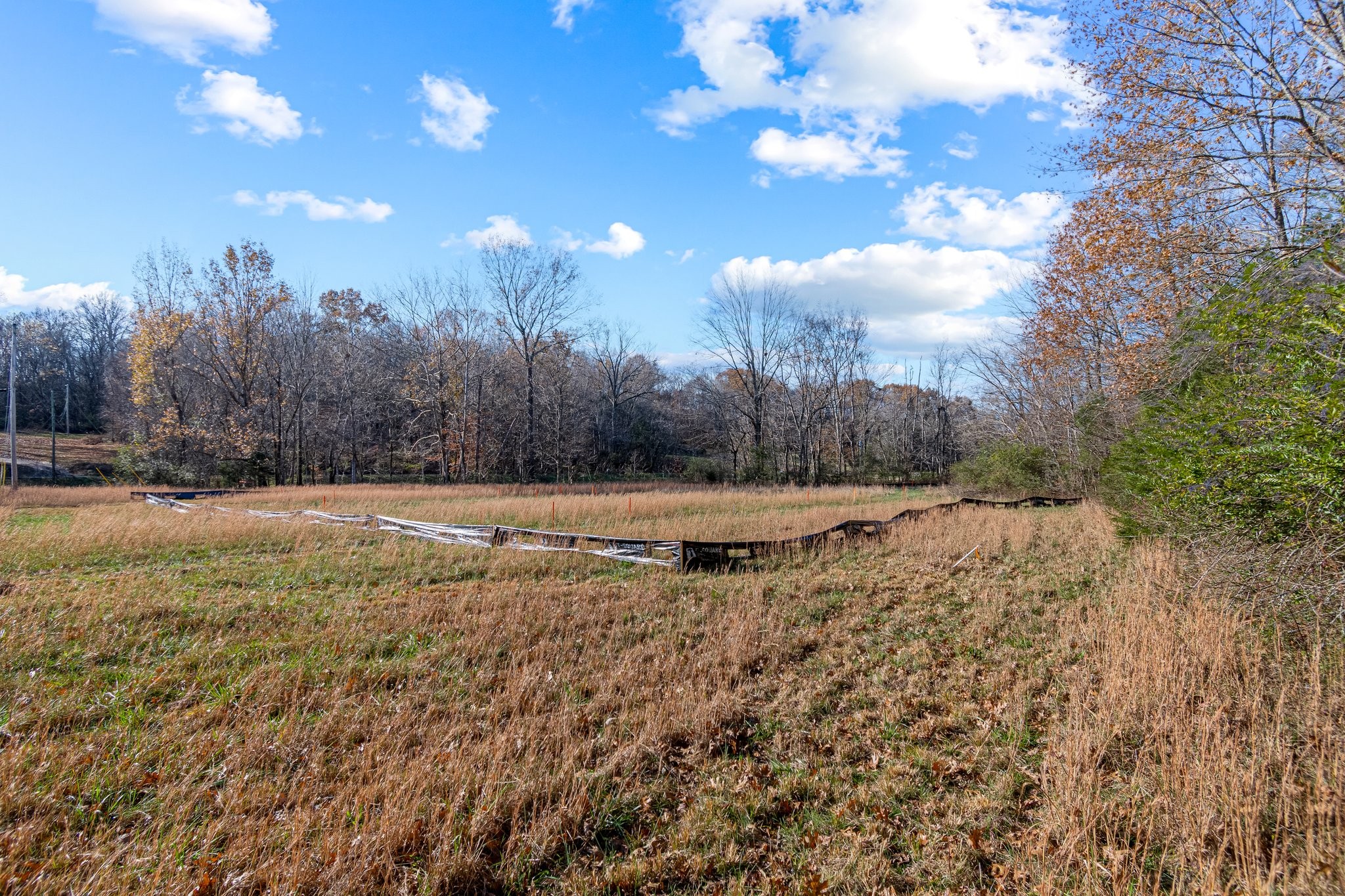 0 Smithson Road College Grove, TN 37046 - Photo 20 of 25