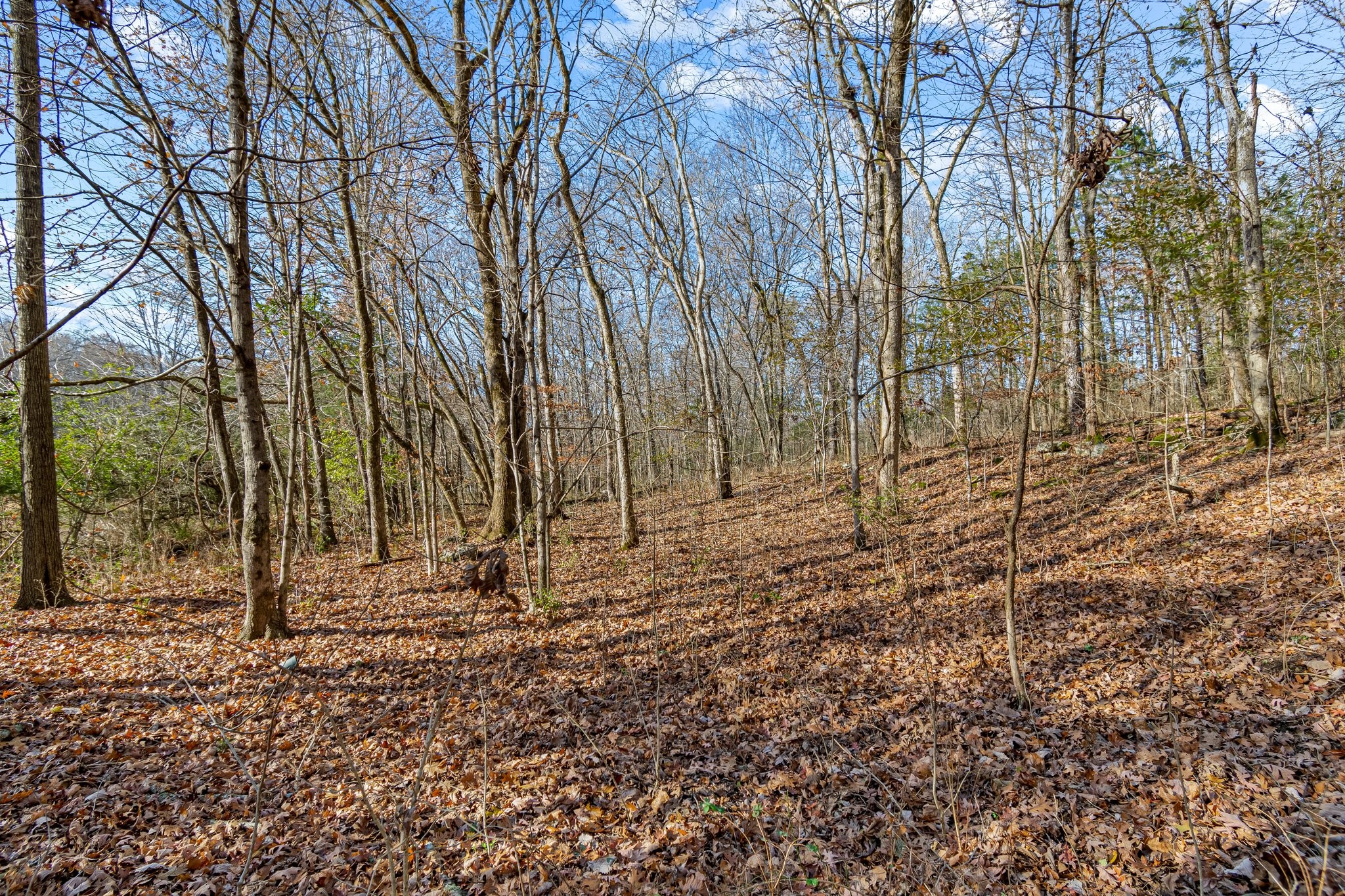 0 Smithson Road College Grove, TN 37046 - Photo 21 of 25