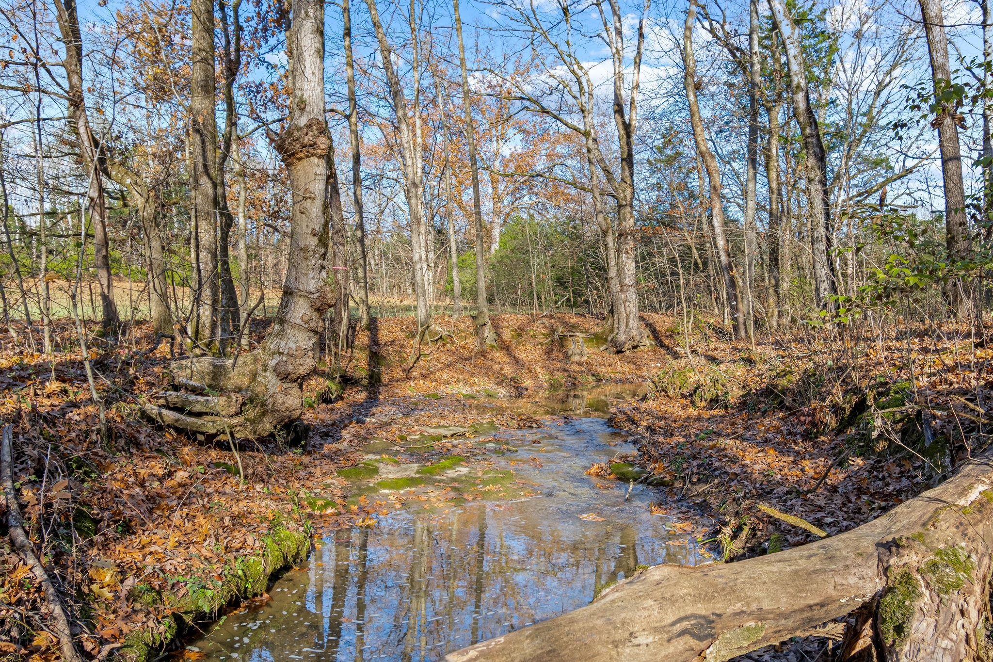 0 Smithson Road College Grove, TN 37046 - Photo 22 of 25