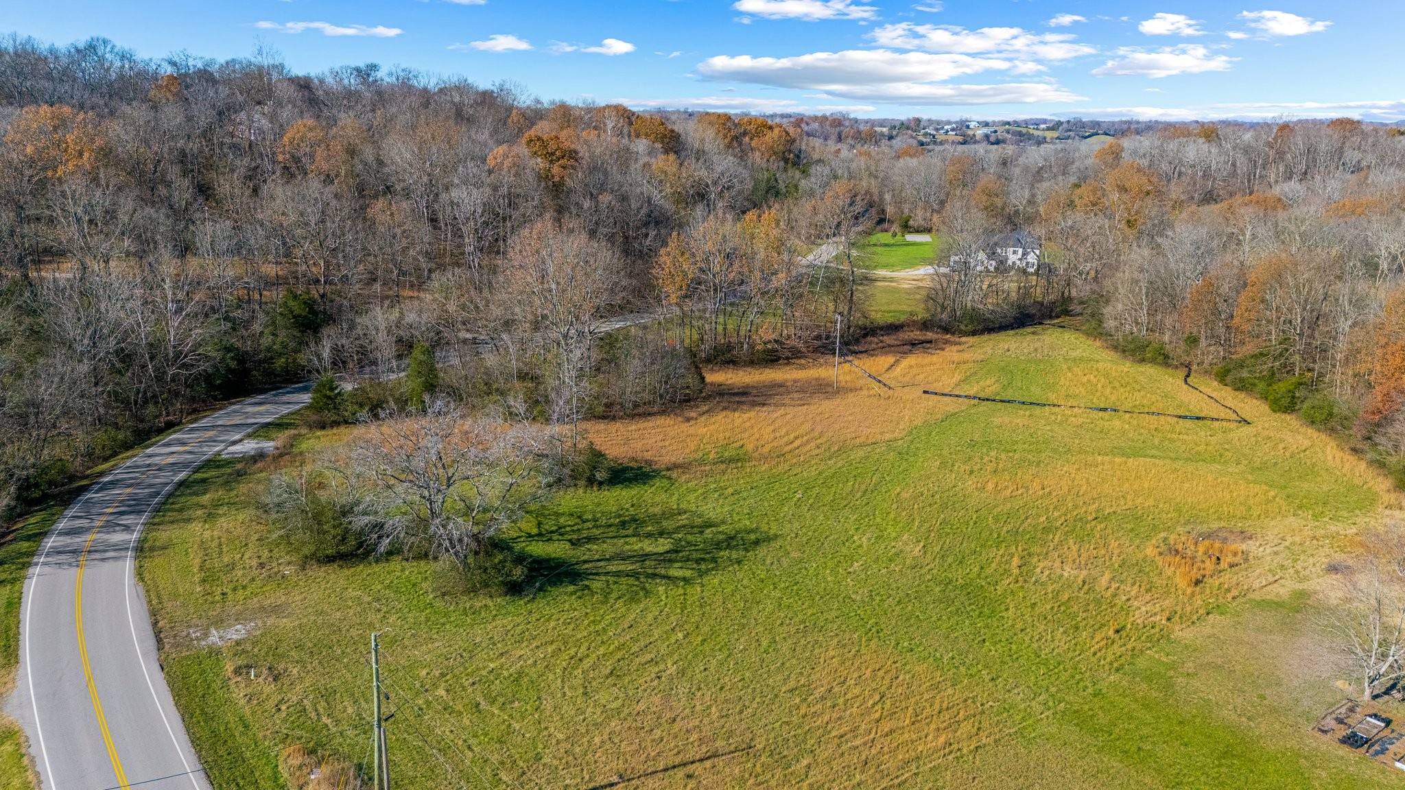 0 Smithson Road College Grove, TN 37046 - Photo 4 of 25