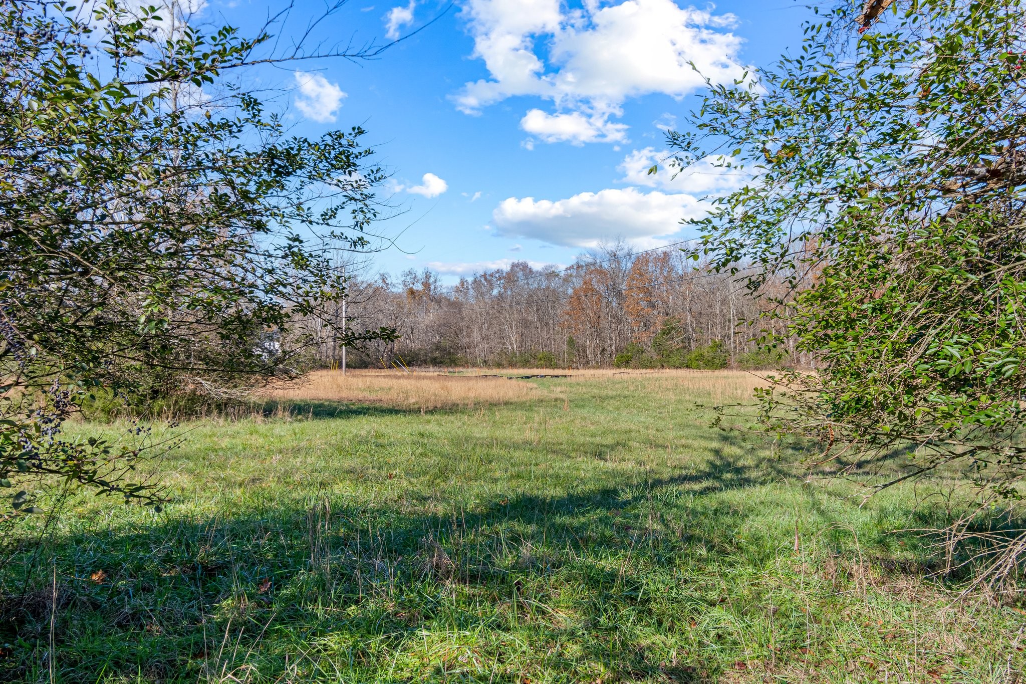 0 Smithson Road College Grove, TN 37046 - Photo 5 of 25