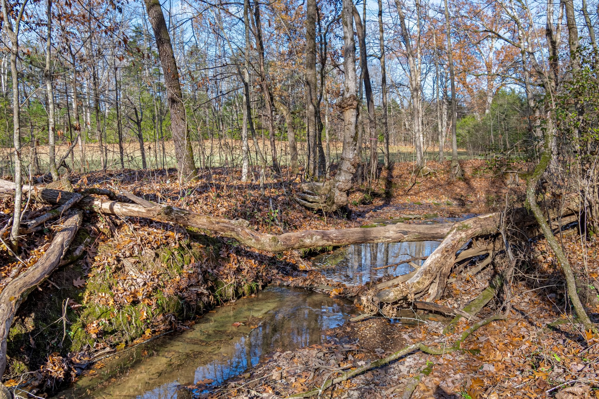 0 Smithson Road College Grove, TN 37046 - Photo 7 of 25