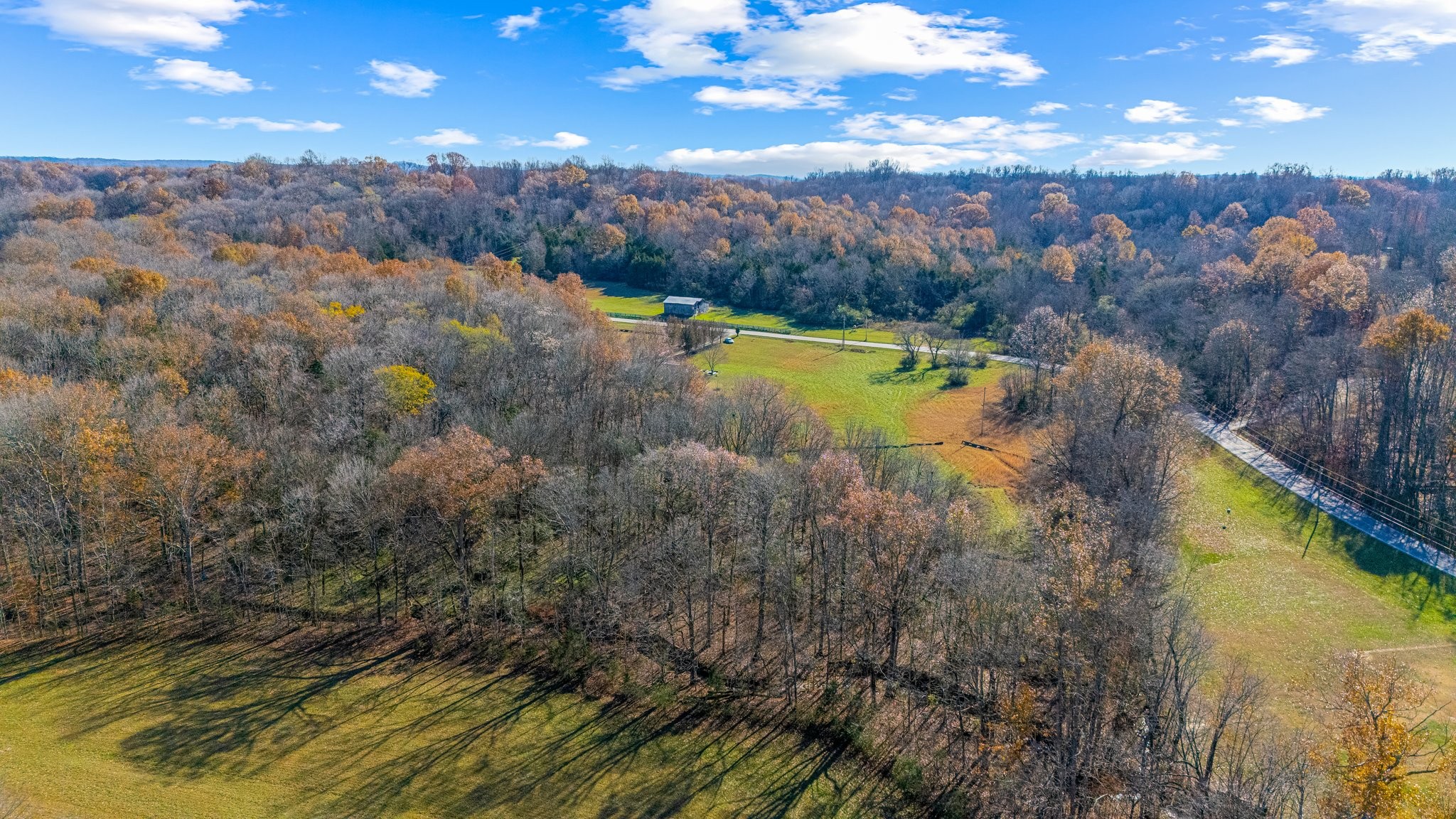 0 Smithson Road College Grove, TN 37046 - Photo 9 of 25