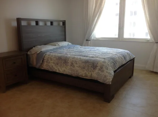 a view of a backyard with plants and palm tree