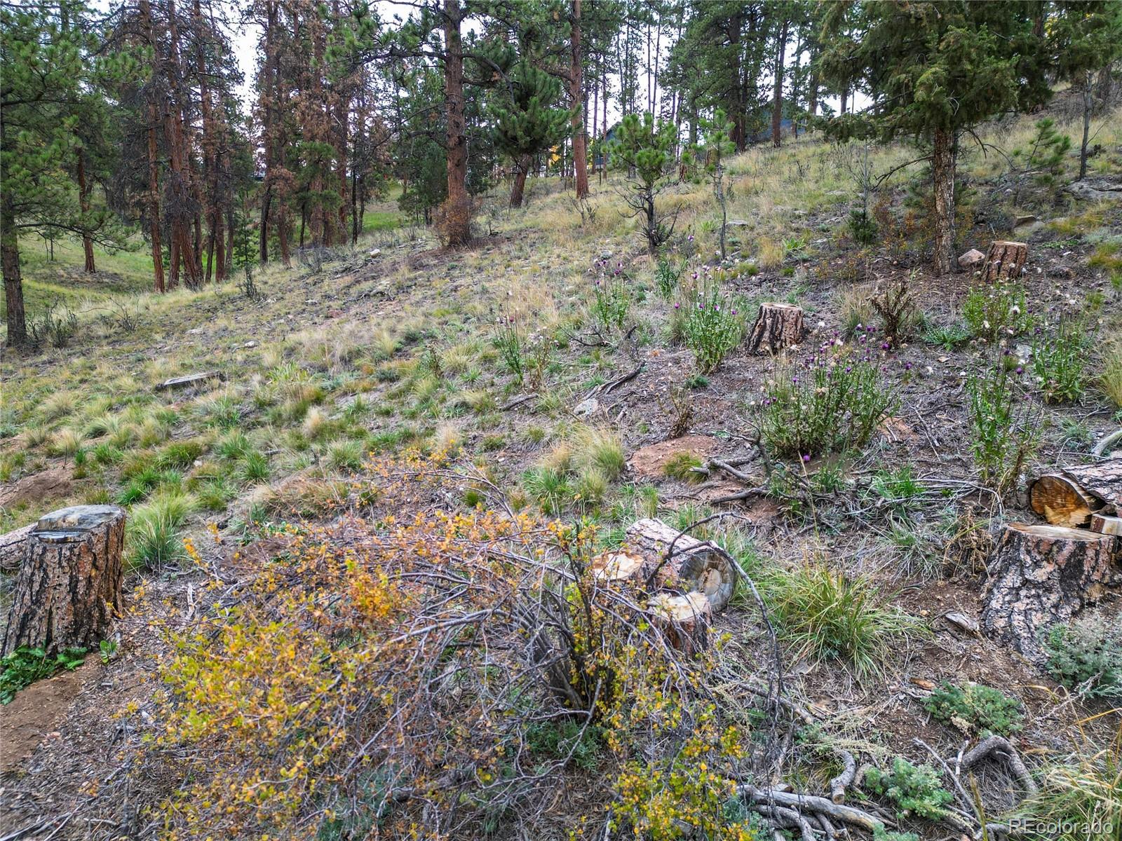 33247 Jenifer Road Pine, CO 80470 - Photo 13 of 20 Gallery Image 13