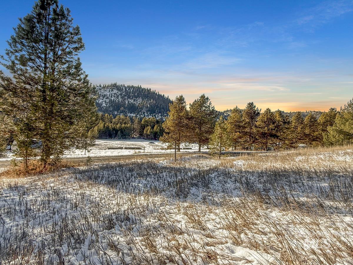 Ptn Lot 7 Packer John Road Cascade, ID 83611 - Photo 4 of 14