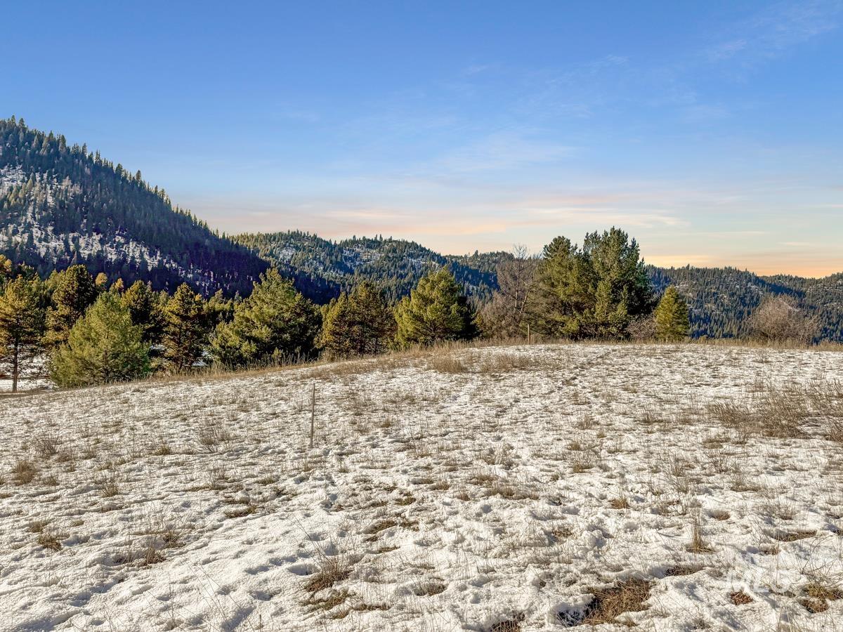 Ptn Lot 7 Packer John Road Cascade, ID 83611 - Photo 6 of 14