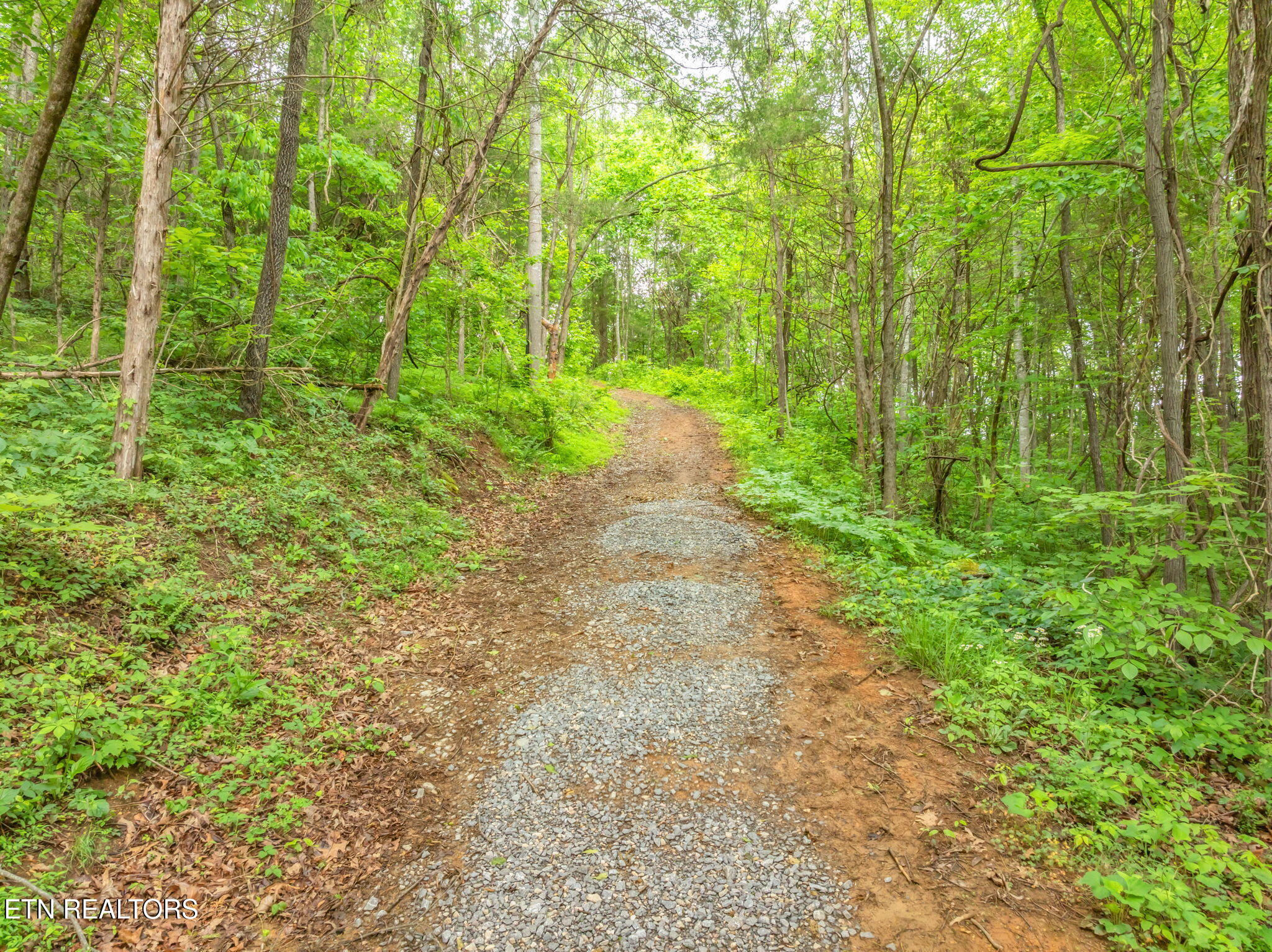 447 Little Tater Valley Road Luttrell, TN 37779 - Photo 56 of 60 97-web-or-mls-447 Little Tater Valley Ro