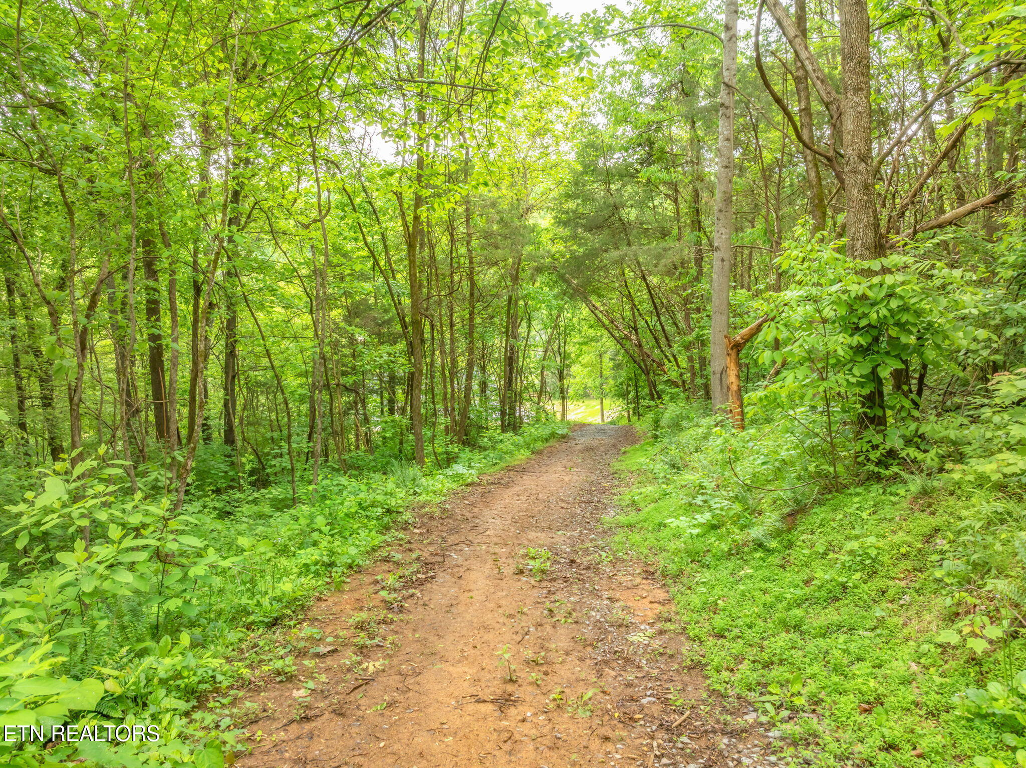 447 Little Tater Valley Road Luttrell, TN 37779 - Photo 57 of 60 96-web-or-mls-447 Little Tater Valley Ro
