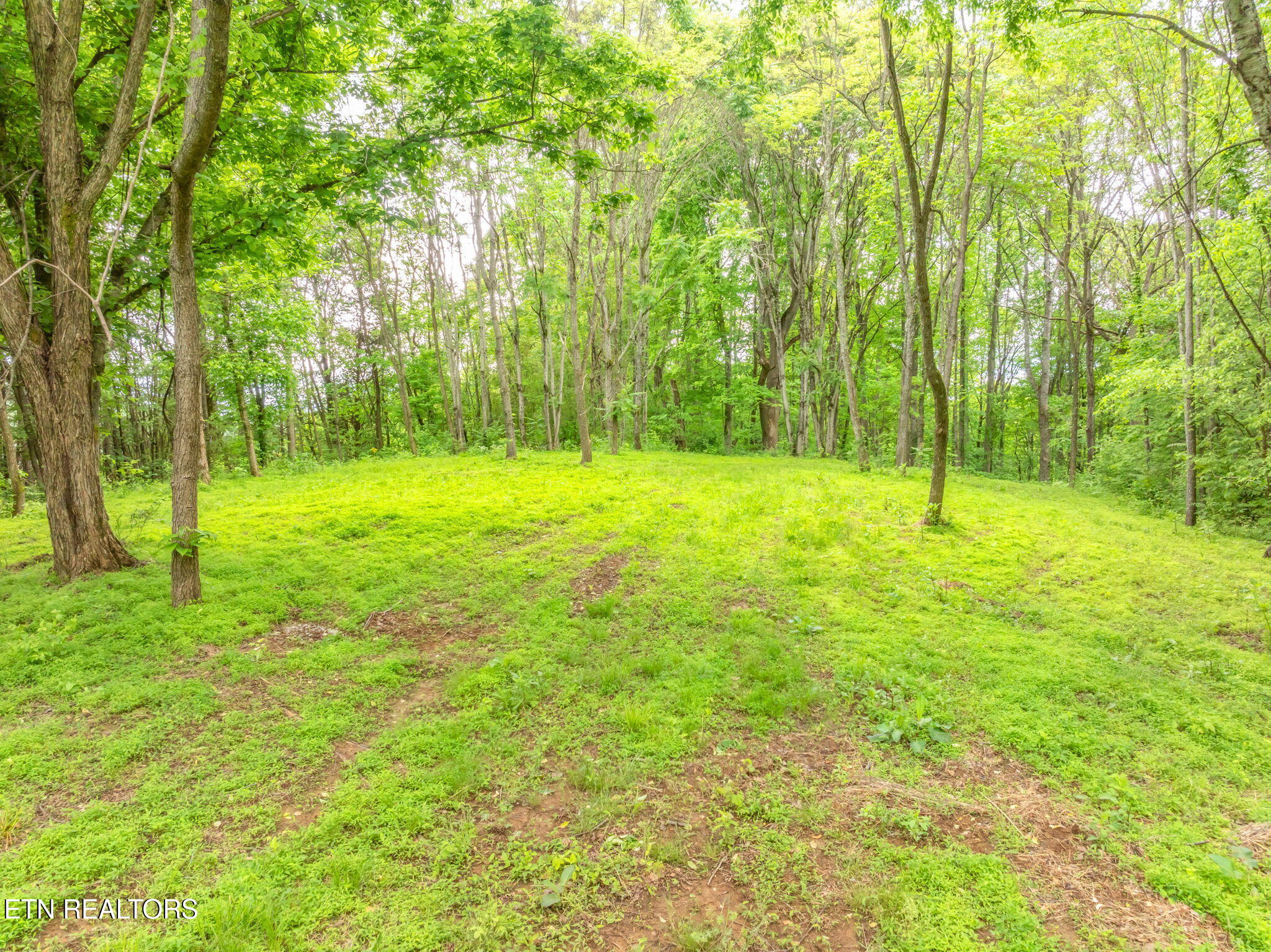 447 Little Tater Valley Road Luttrell, TN 37779 - Photo 58 of 60 93-web-or-mls-447 Little Tater Valley Ro