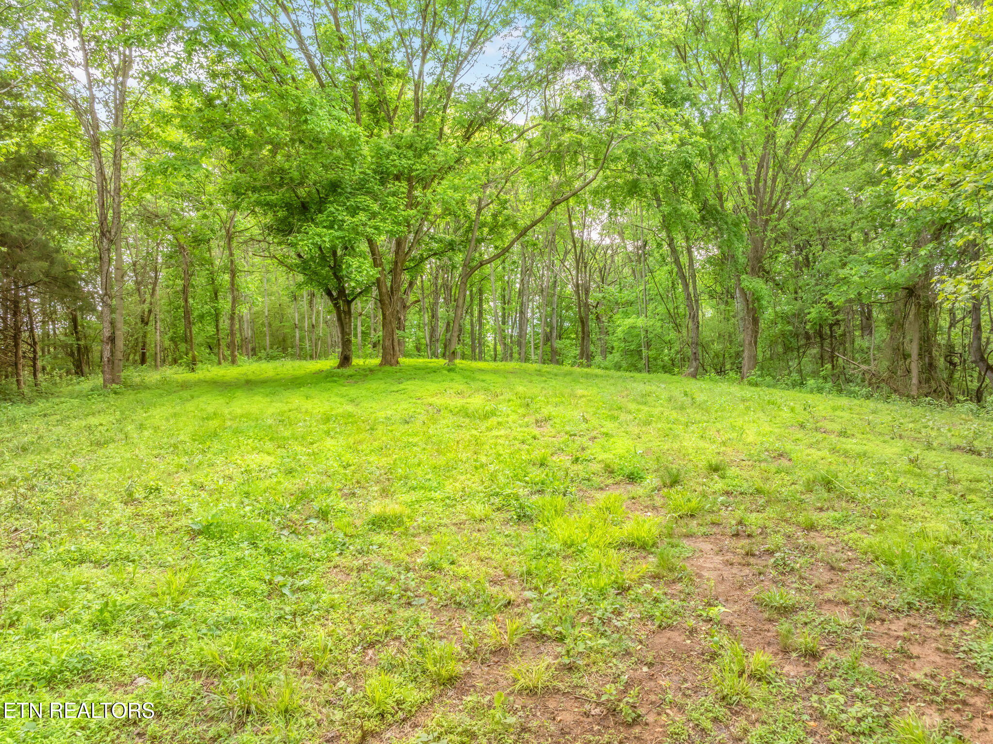 447 Little Tater Valley Road Luttrell, TN 37779 - Photo 59 of 60 91-web-or-mls-447 Little Tater Valley Ro