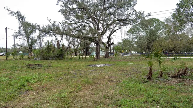 a view of outdoor space with deck and tree