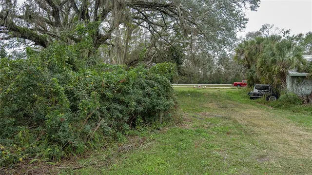 a view of a backyard