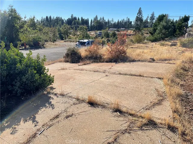 a view of a yard with trees in the background