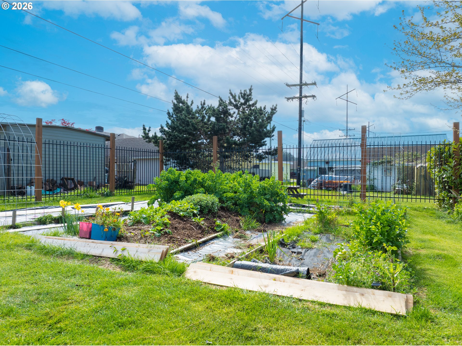 1950 Greenwood Avenue Reedsport, OR 97467 - Photo 20 of 31 Backyard