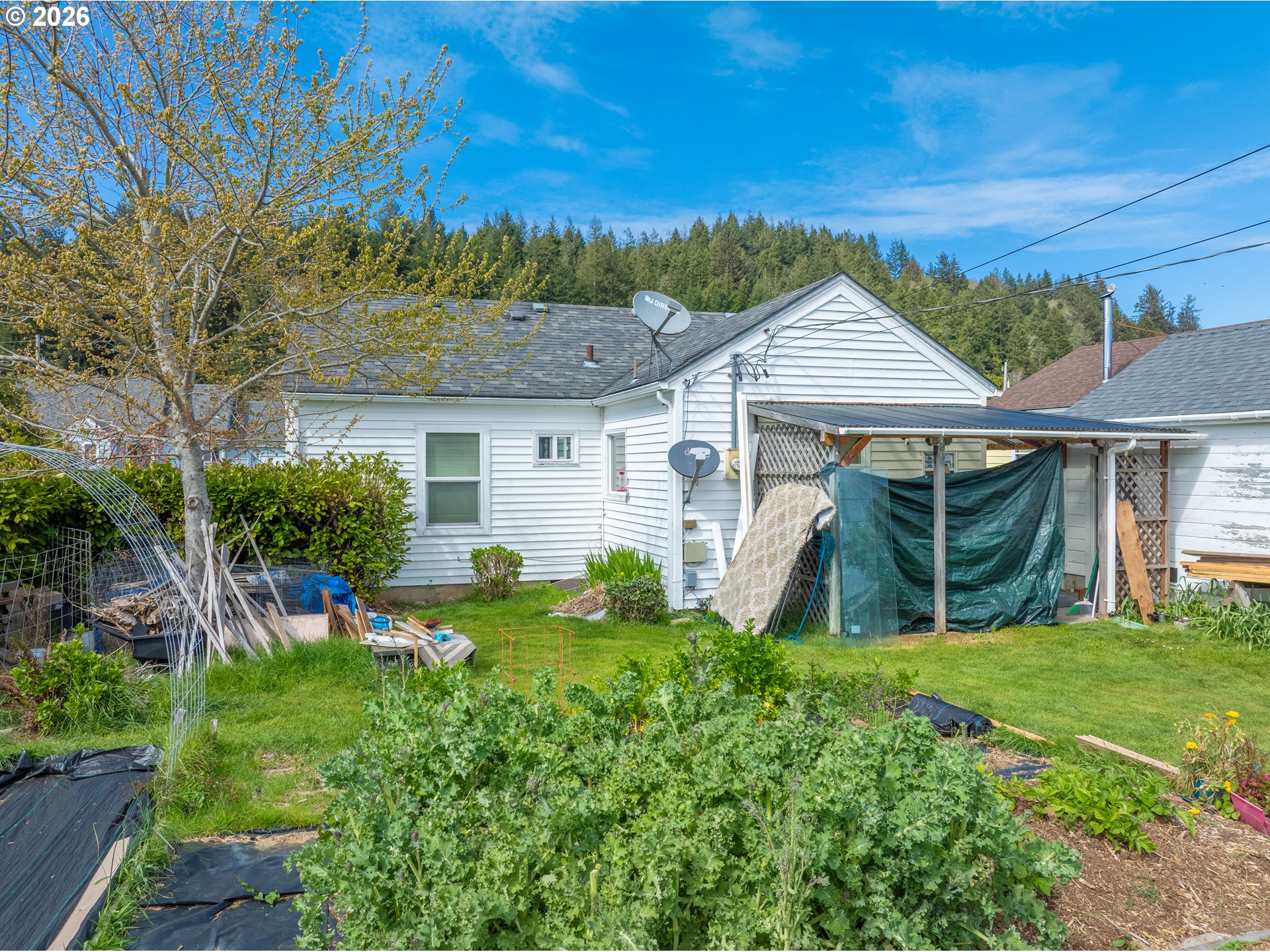 1950 Greenwood Avenue Reedsport, OR 97467 - Photo 21 of 31 Backyard