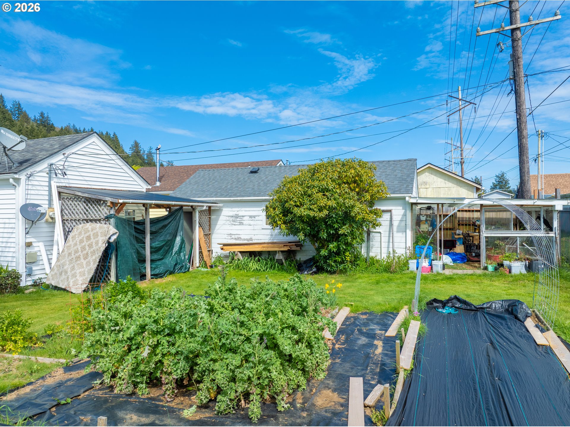 1950 Greenwood Avenue Reedsport, OR 97467 - Photo 22 of 31 Backyard