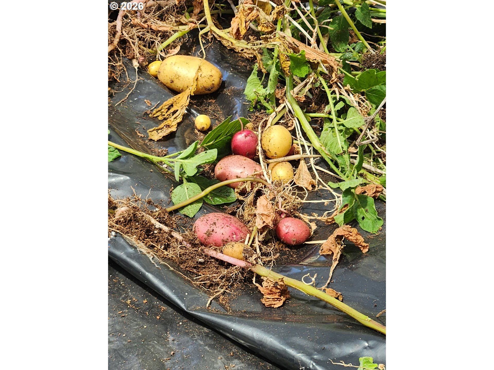1950 Greenwood Avenue Reedsport, OR 97467 - Photo 31 of 31