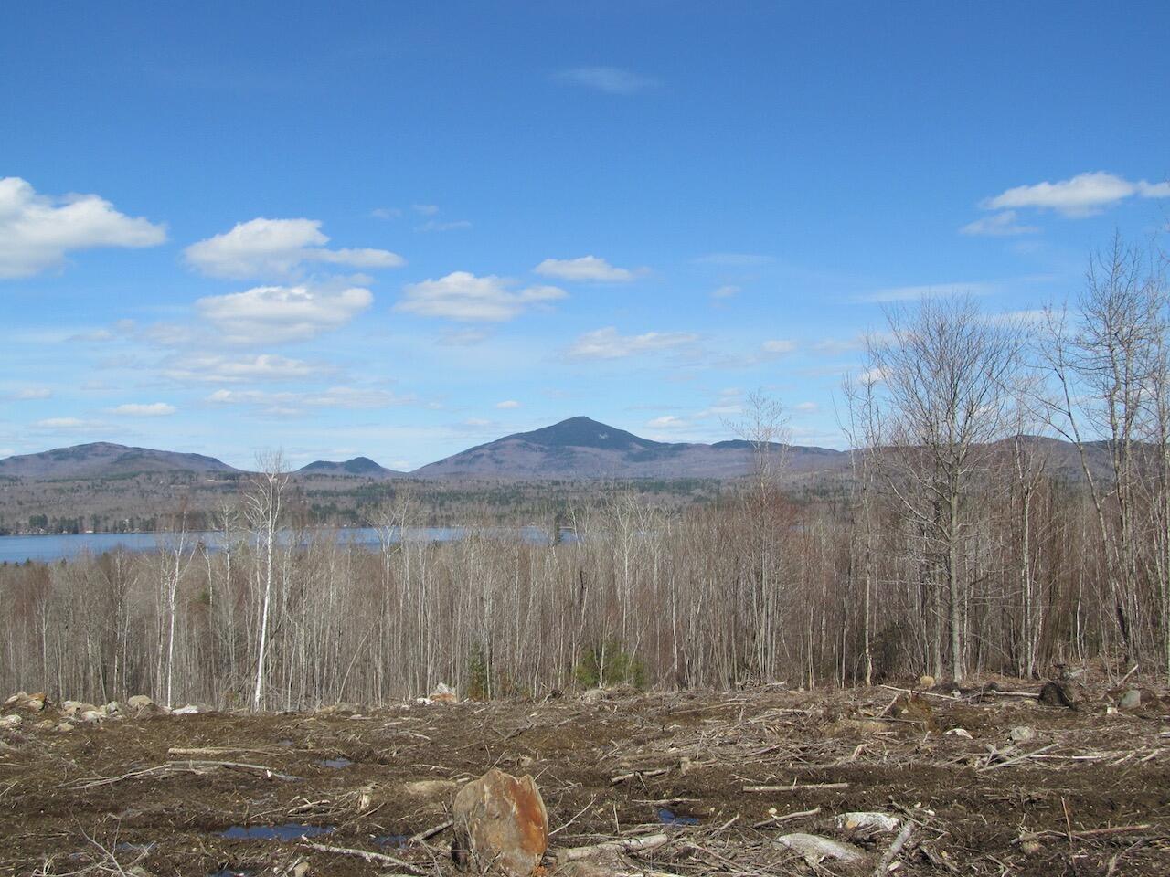 Lot 12 Lake View Road Weld, ME 04285 - Photo 6 of 27 IMG_1057