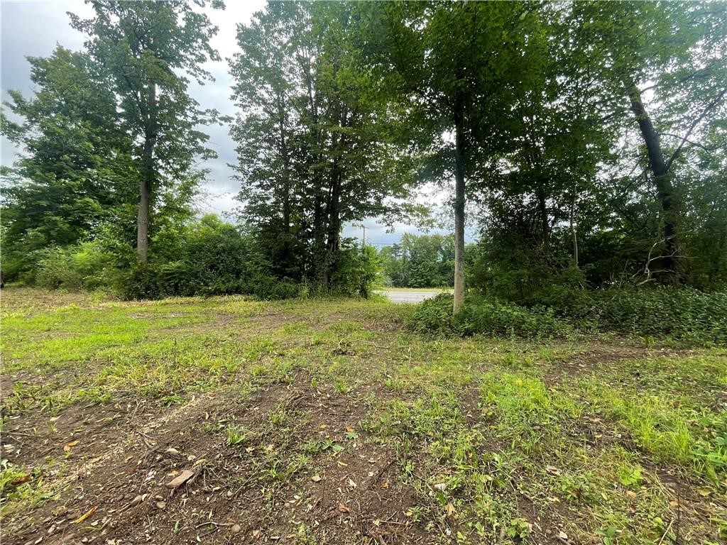 0 County Road 6 Phelps, NY 14532 - Photo 1 of 1
