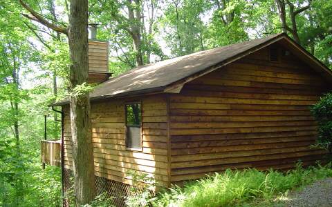 350 Pigeon Creek Blue Ridge, GA 30513 - Photo 1 of 1 Main View