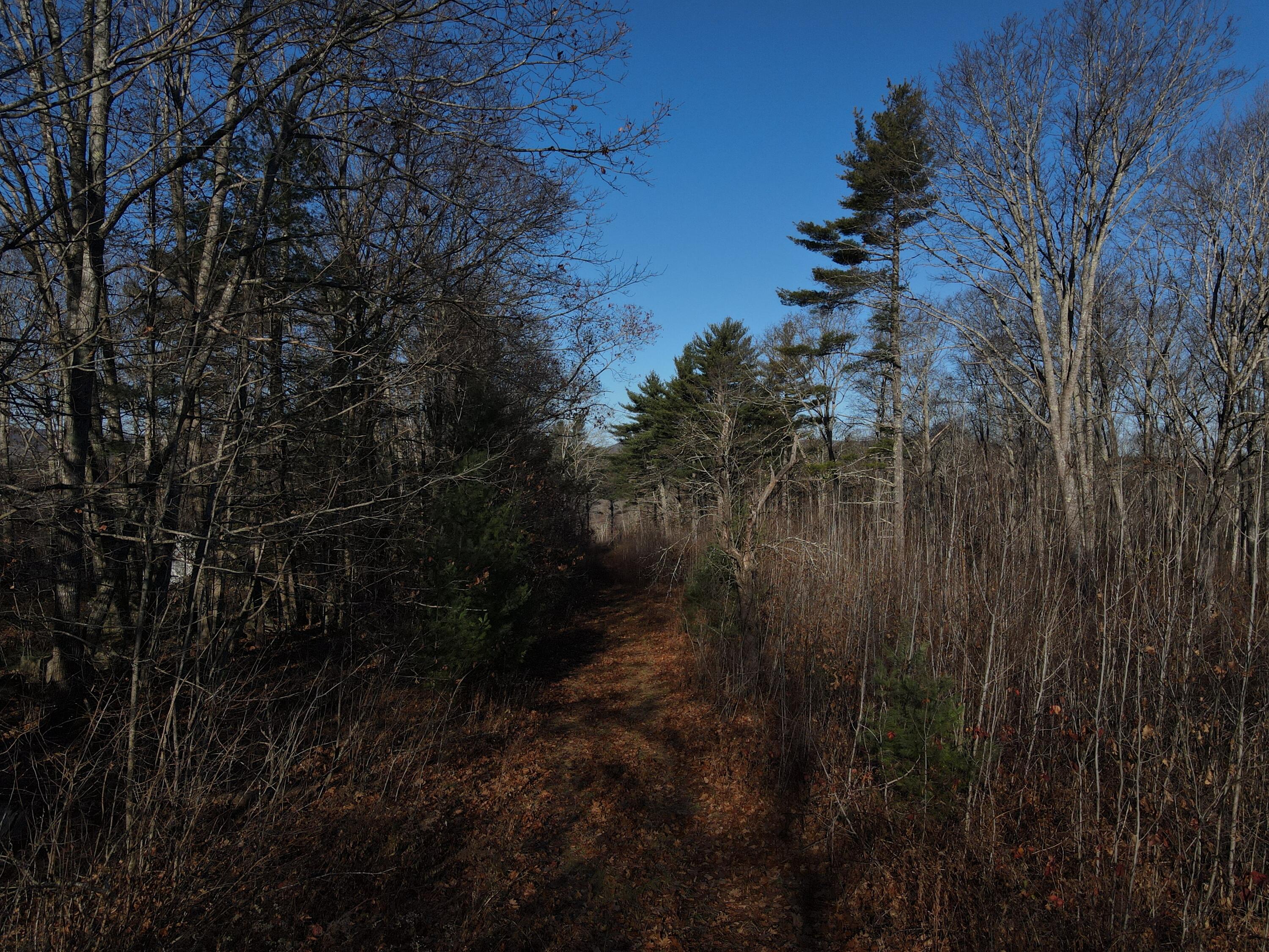 0 Sand Hill Road Lincolnville, ME 04849 - Photo 17 of 17 2024-11-14 09.13.21