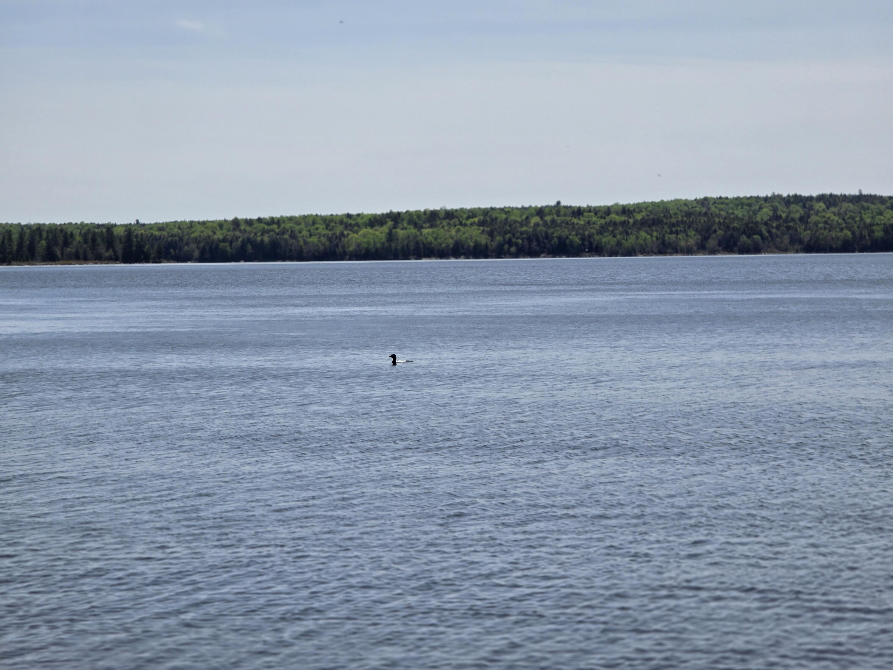 1.86 Lakeside Road Island Falls, ME 04747 - Photo 19 of 29 20260523_132906
