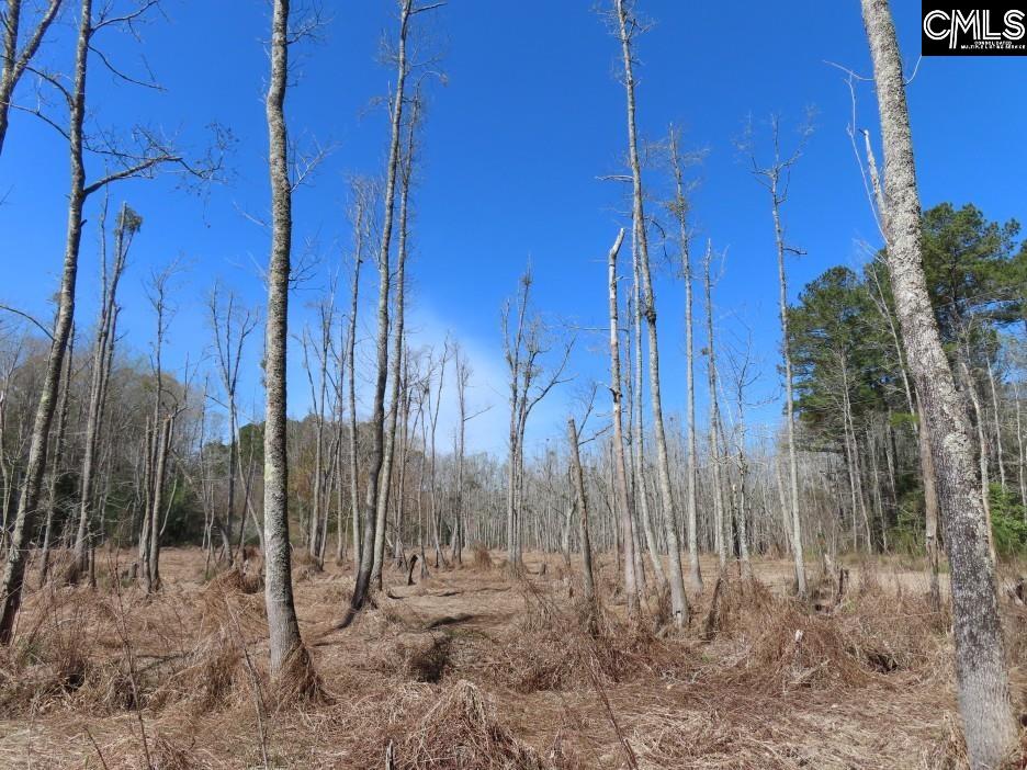 1672 Dixired Road Leesville, SC 29070 - Photo 15 of 67