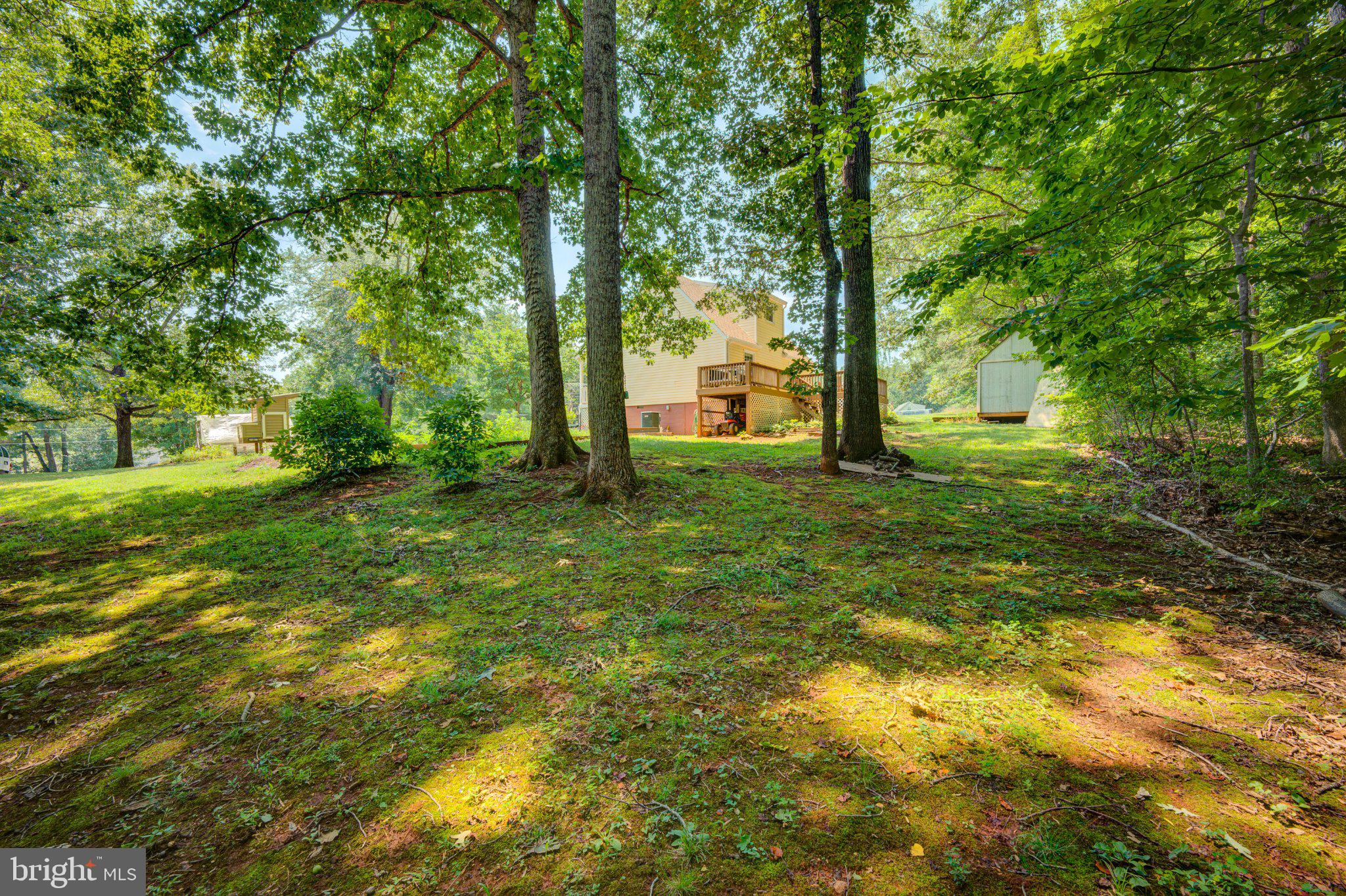9595 Roys Lane Culpeper, VA 22701 - Photo 38 of 61 Serene wooded retreat awaits you.