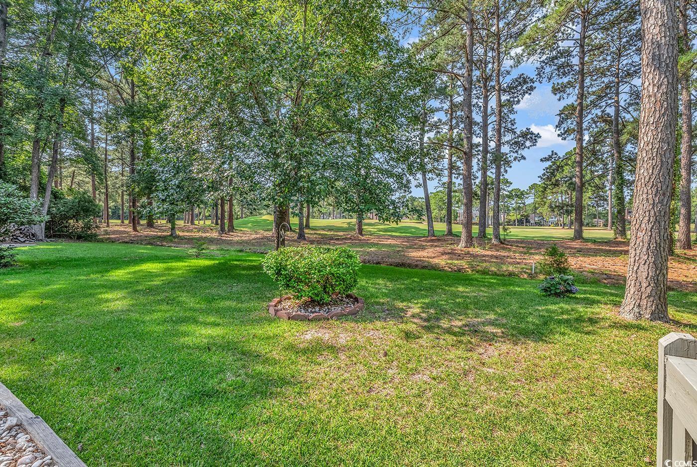 102 Berry Tree Lane Conway, SC 29526 - Photo 29 of 40 View of yard