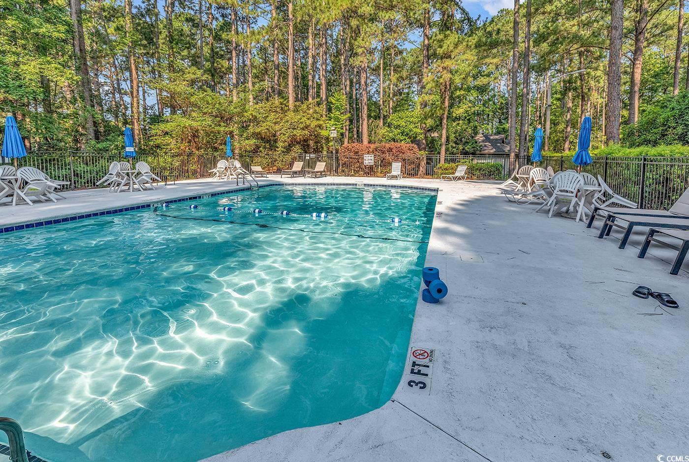 102 Berry Tree Lane Conway, SC 29526 - Photo 38 of 40 View of pool with a patio area