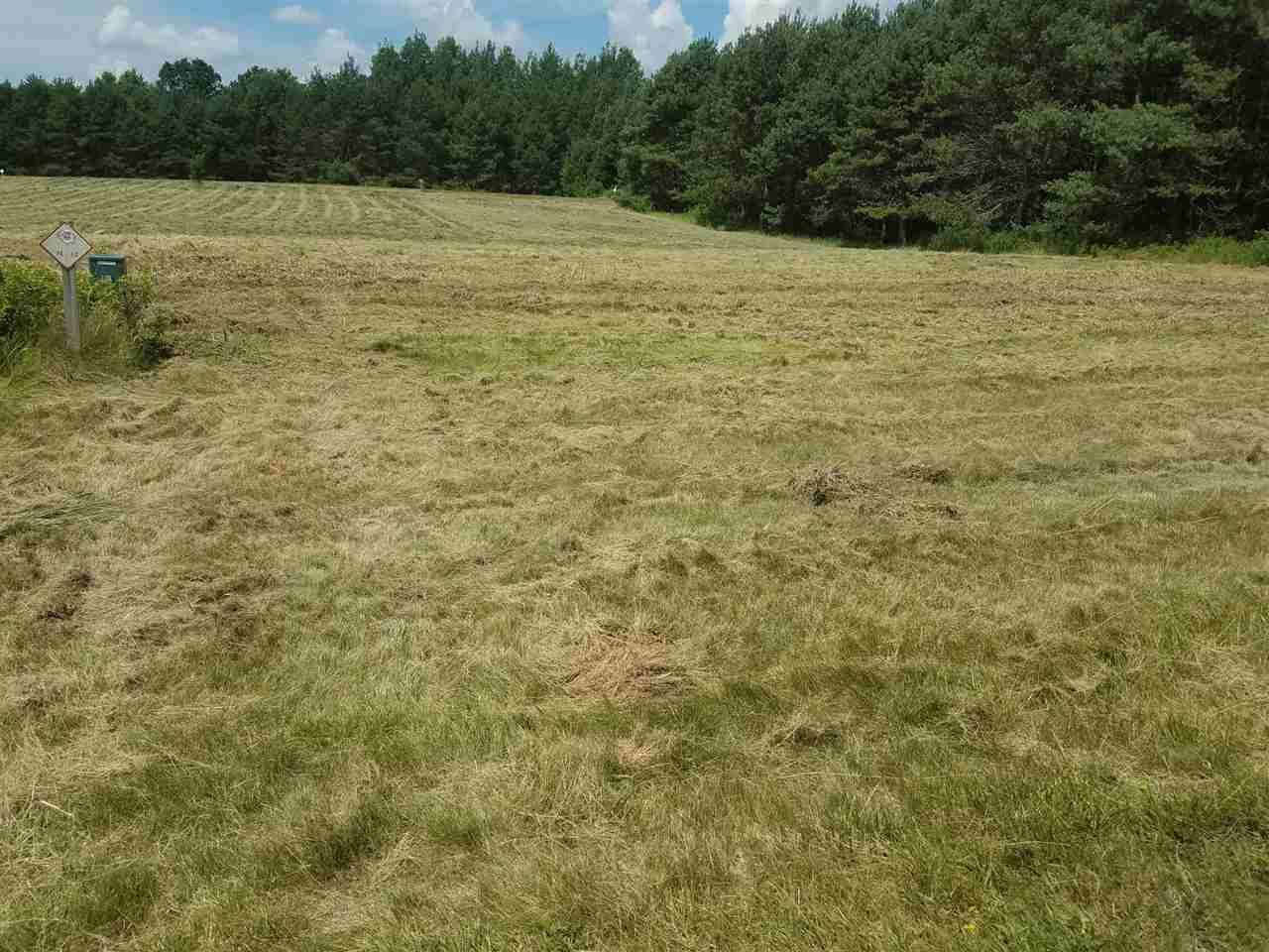 Lot #32 Prairie River Merrill, WI 54452 - Photo 1 of 1