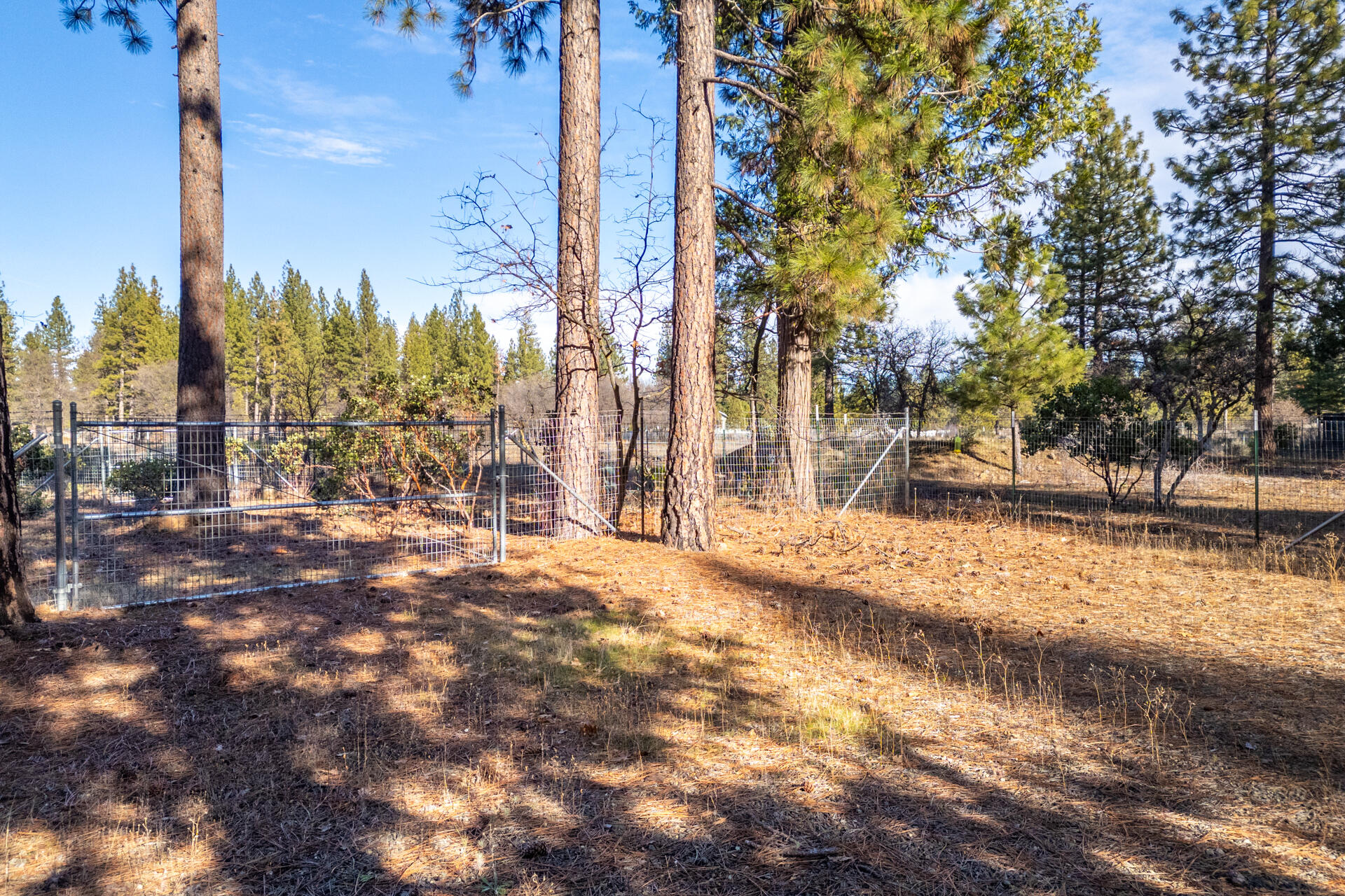 Serpentine Lane Burney, CA 96013 - Photo 2 of 13 DJI_0388-HDR