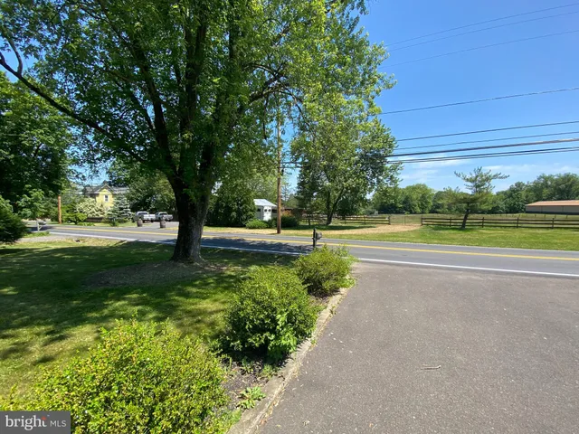 a view of a park with large trees