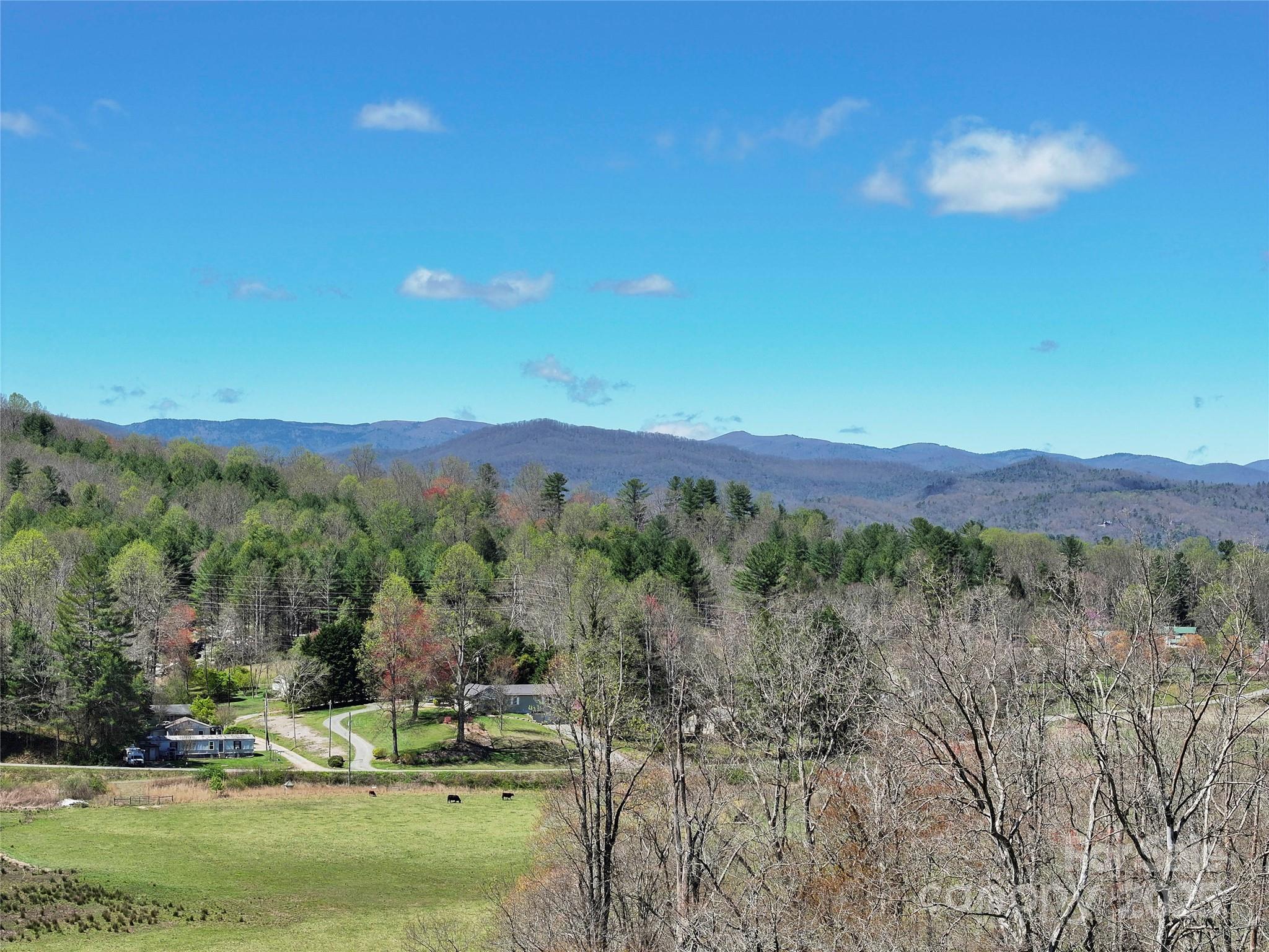 Three Three Mile Knob Road, Unit L2 Pisgah Forest, NC 28768 - Photo 6 of 9 a view of a town with mountains in the background