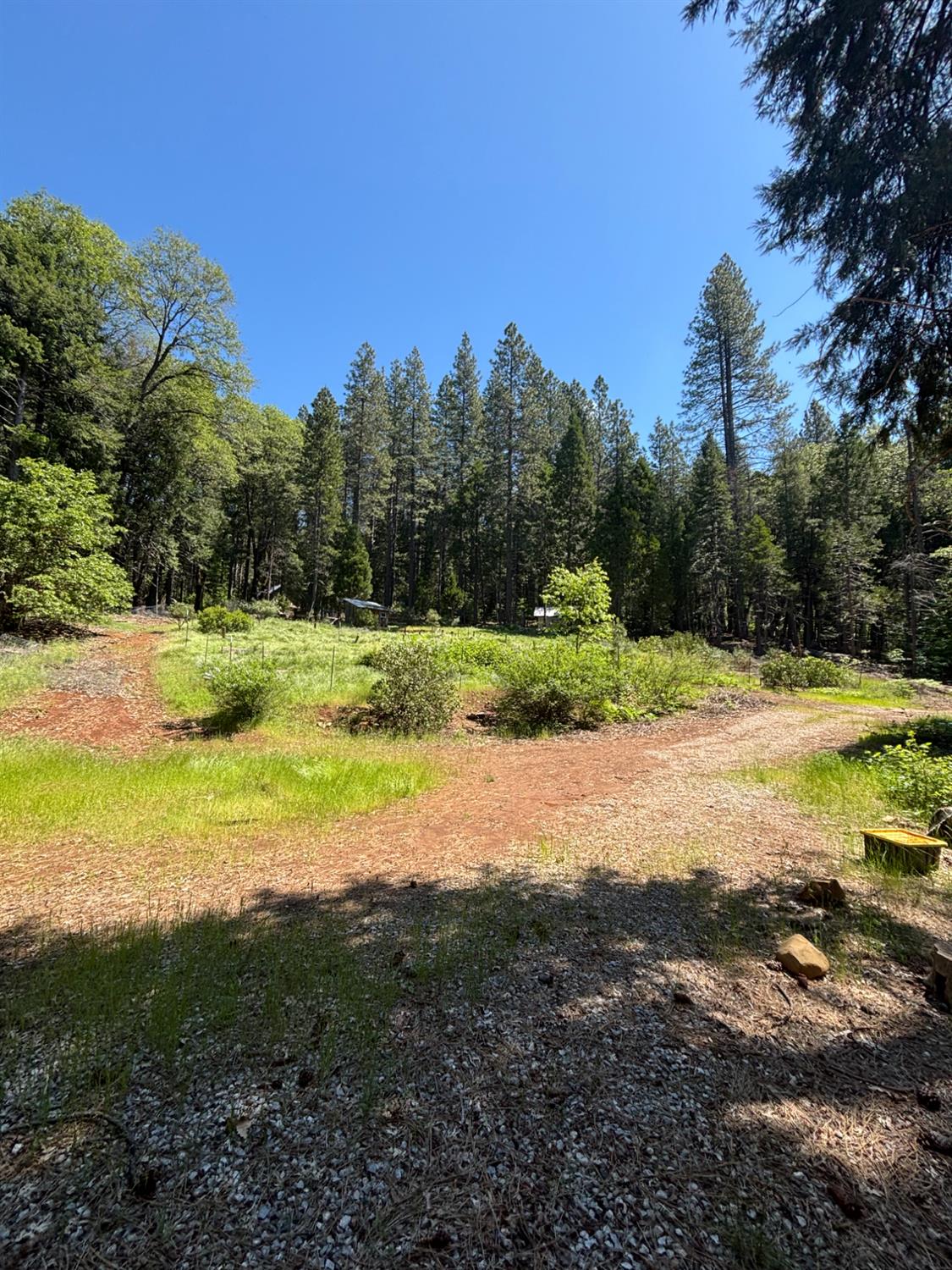 0 Roaring Ridge Road Montgomery Creek, CA 96065 - Photo 2 of 6 Gallery Image 2