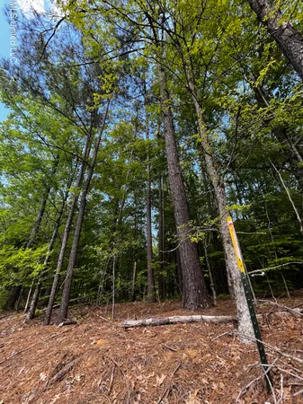 $130,000 | 0 Bend Road, Coldwater, MS 38618
